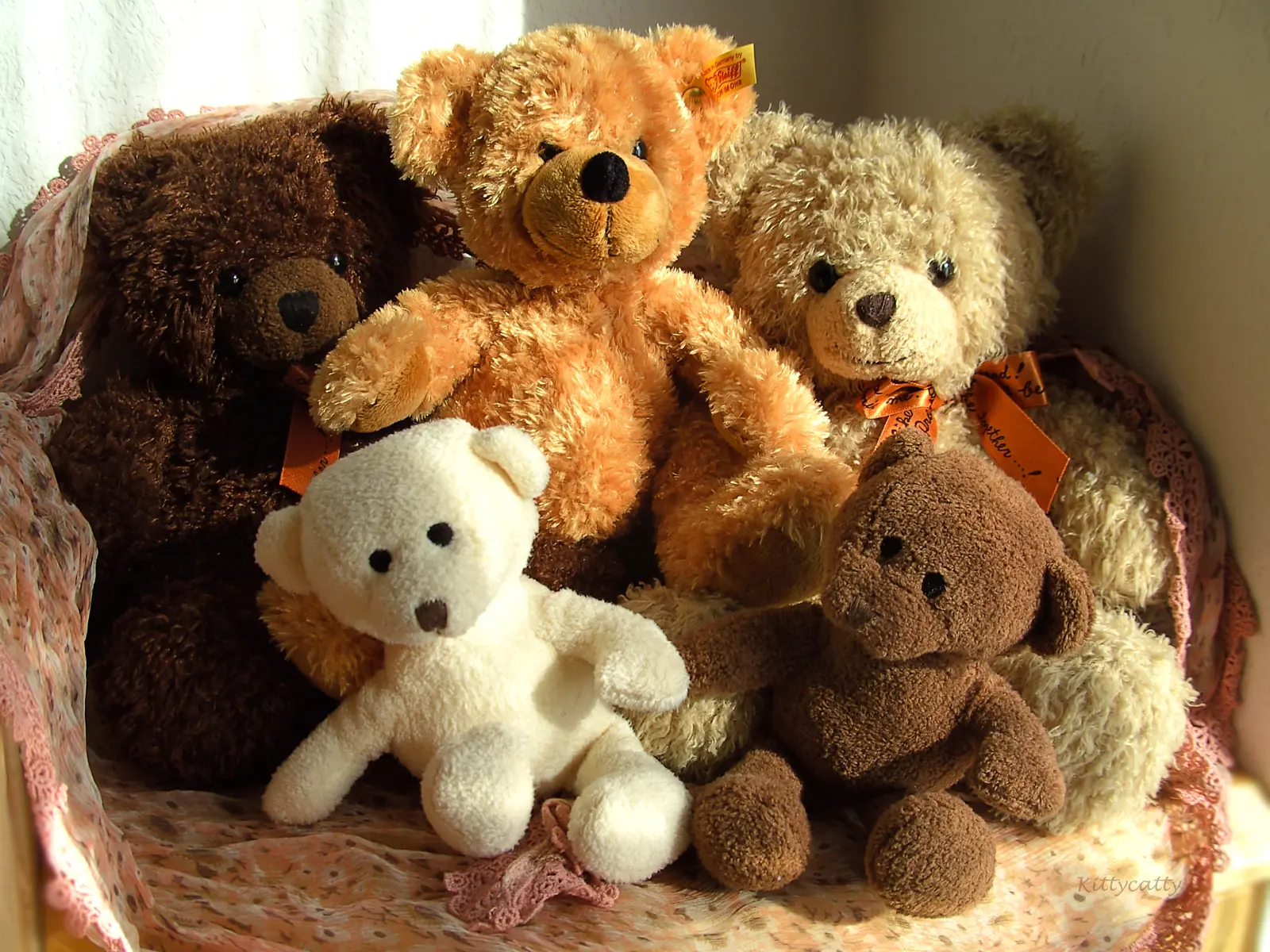 Teddy s bear. Тедди Беар. Плюшевый медведь. Плюшевый Медвежонок. Плюшевый мишка Тедди.