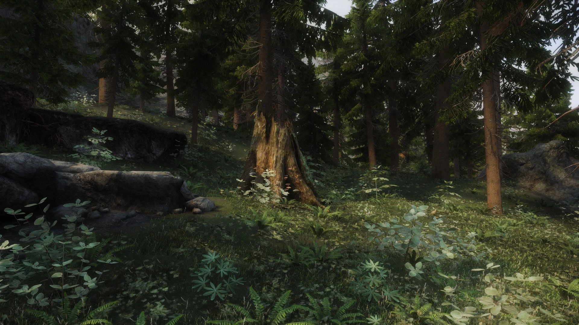 Complex grass and other beauties at Skyrim Special Edition Nexus - Mods ...