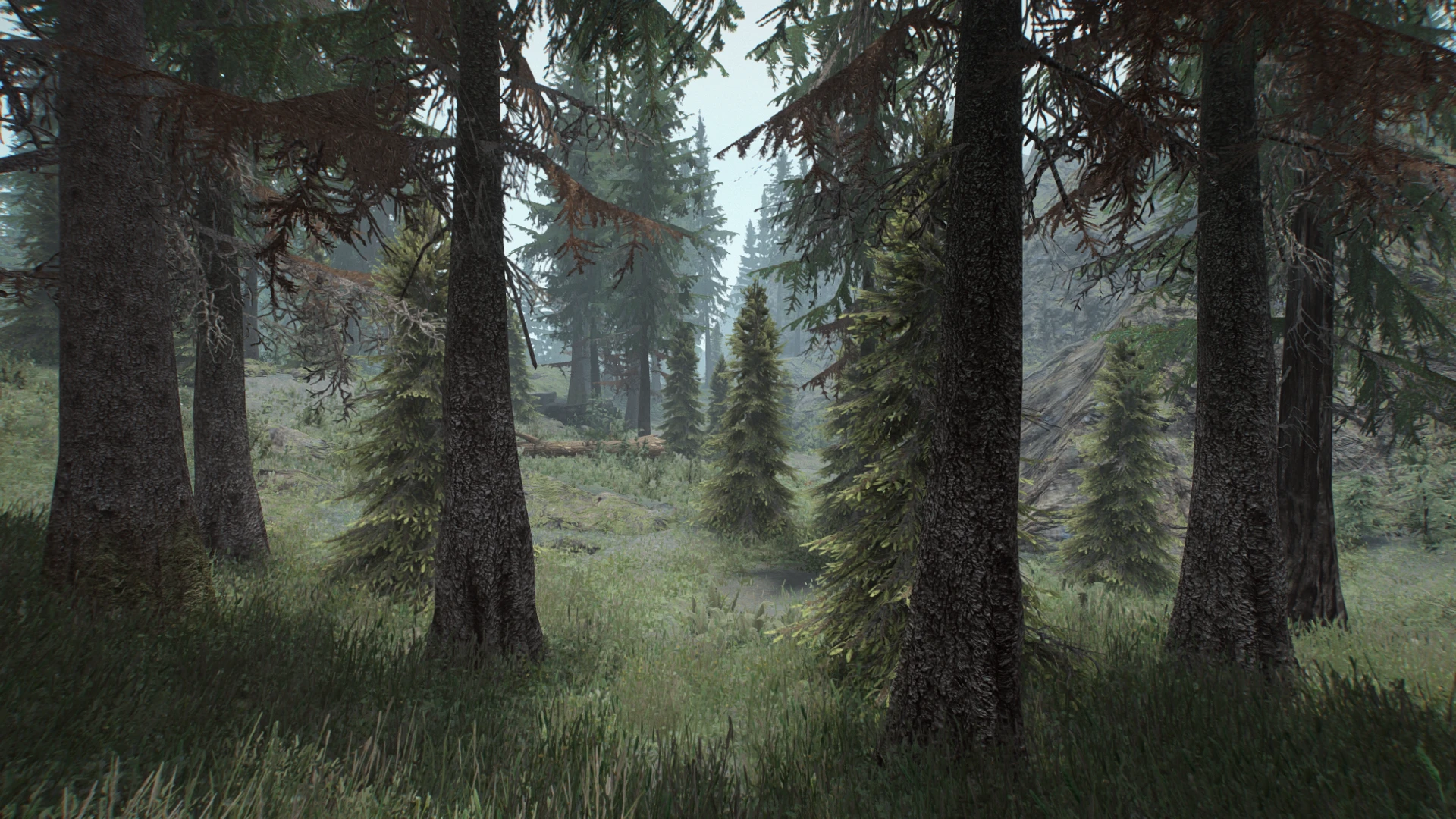 small pines at Skyrim Special Edition Nexus - Mods and Community