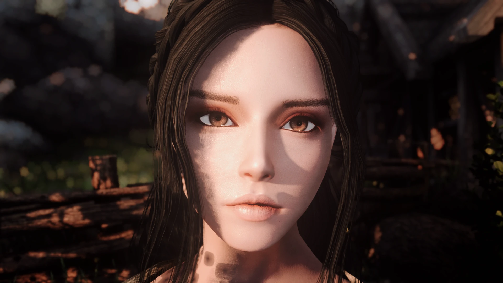 bnp skin with bjorn enb at Skyrim Special Edition Nexus - Mods and ...