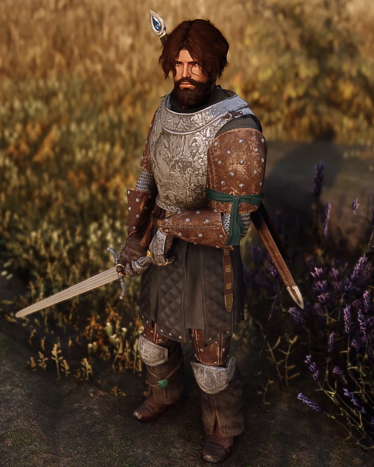 Breton Knight at Skyrim Special Edition Nexus - Mods and Community