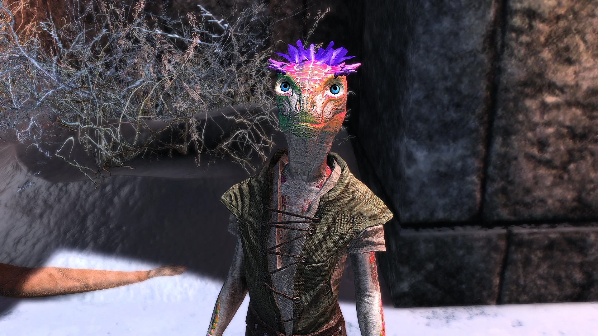 Young Argonian - TKAA at Skyrim Special Edition Nexus - Mods and Community