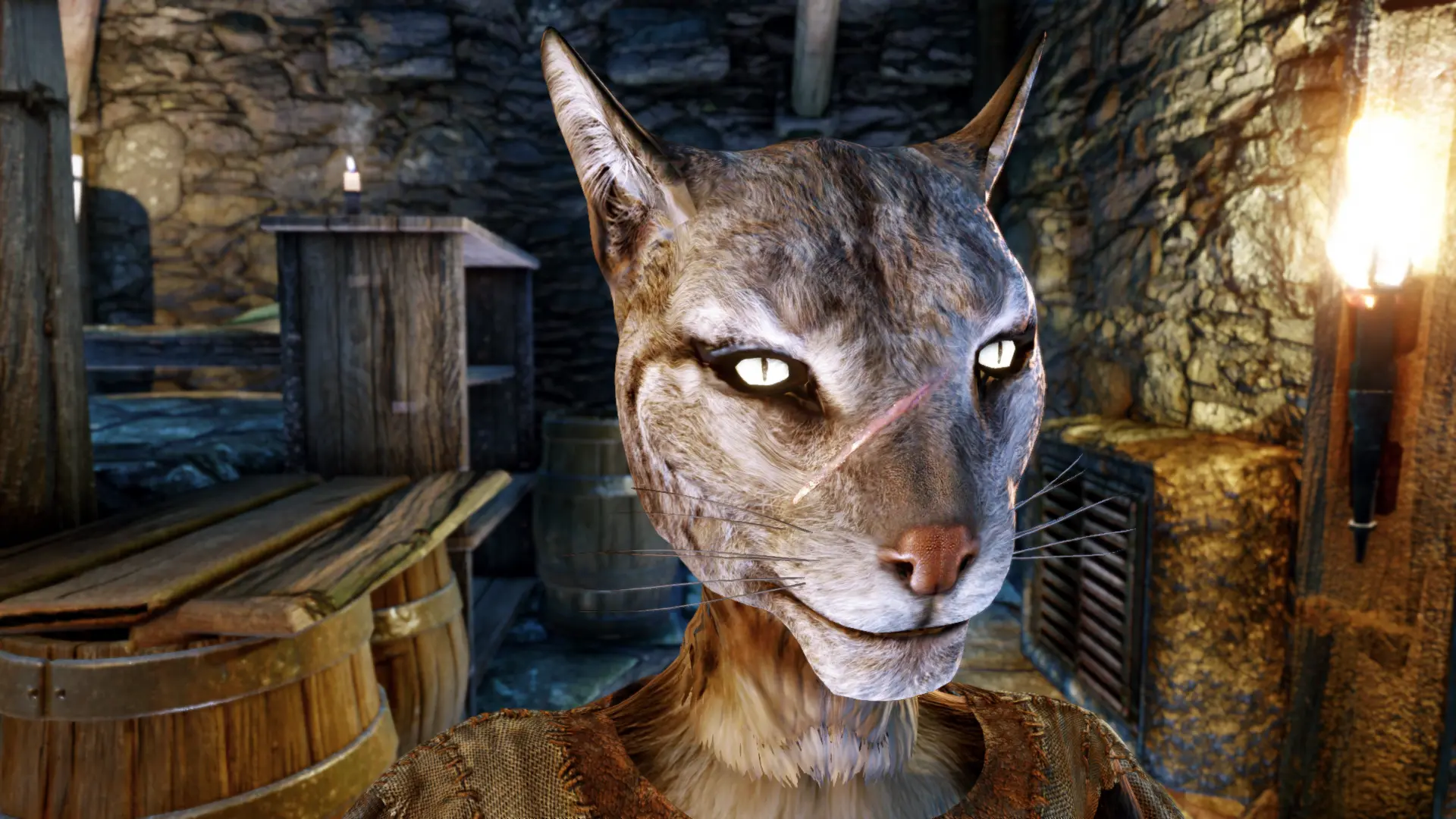 skyrim special edition khajiit