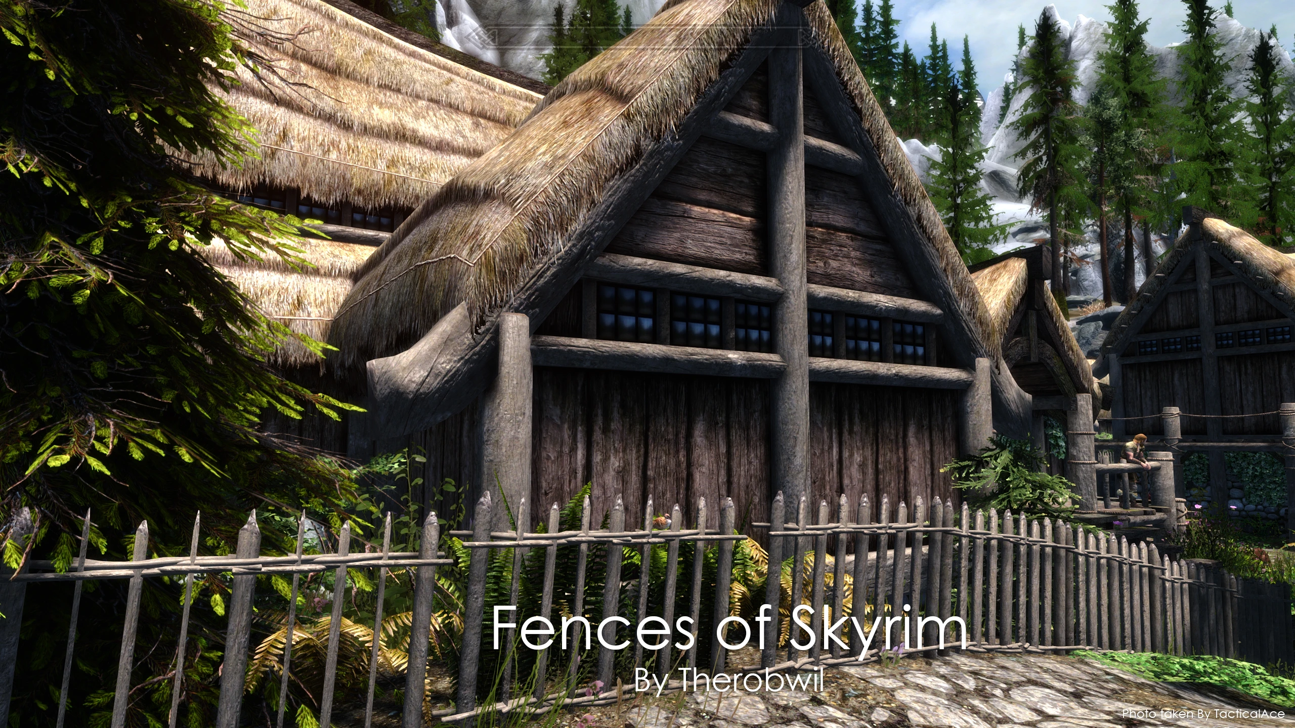 Fences of Skyrim.