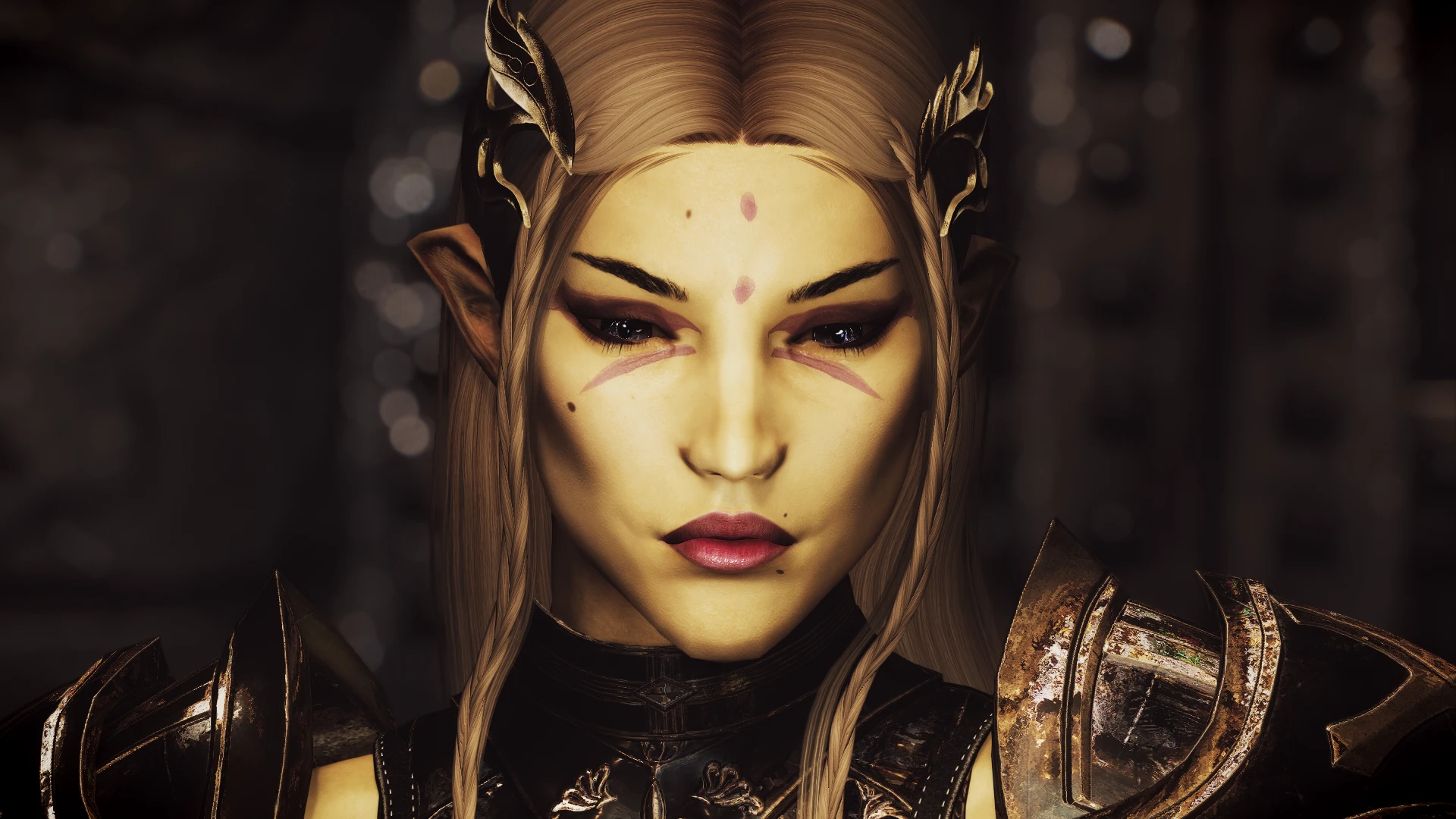 Thalmor Portrait At Skyrim Special Edition Nexus Mods And Community