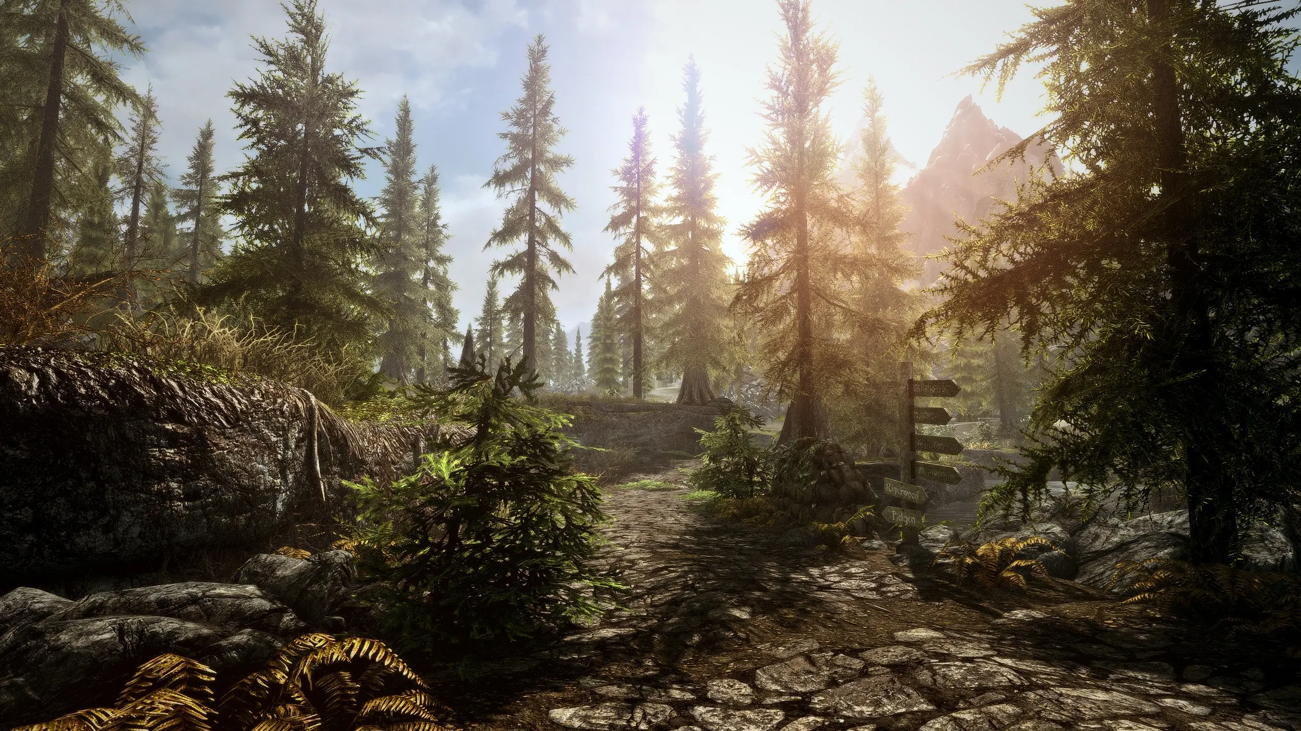 Steam steamapps common skyrim special edition фото 88