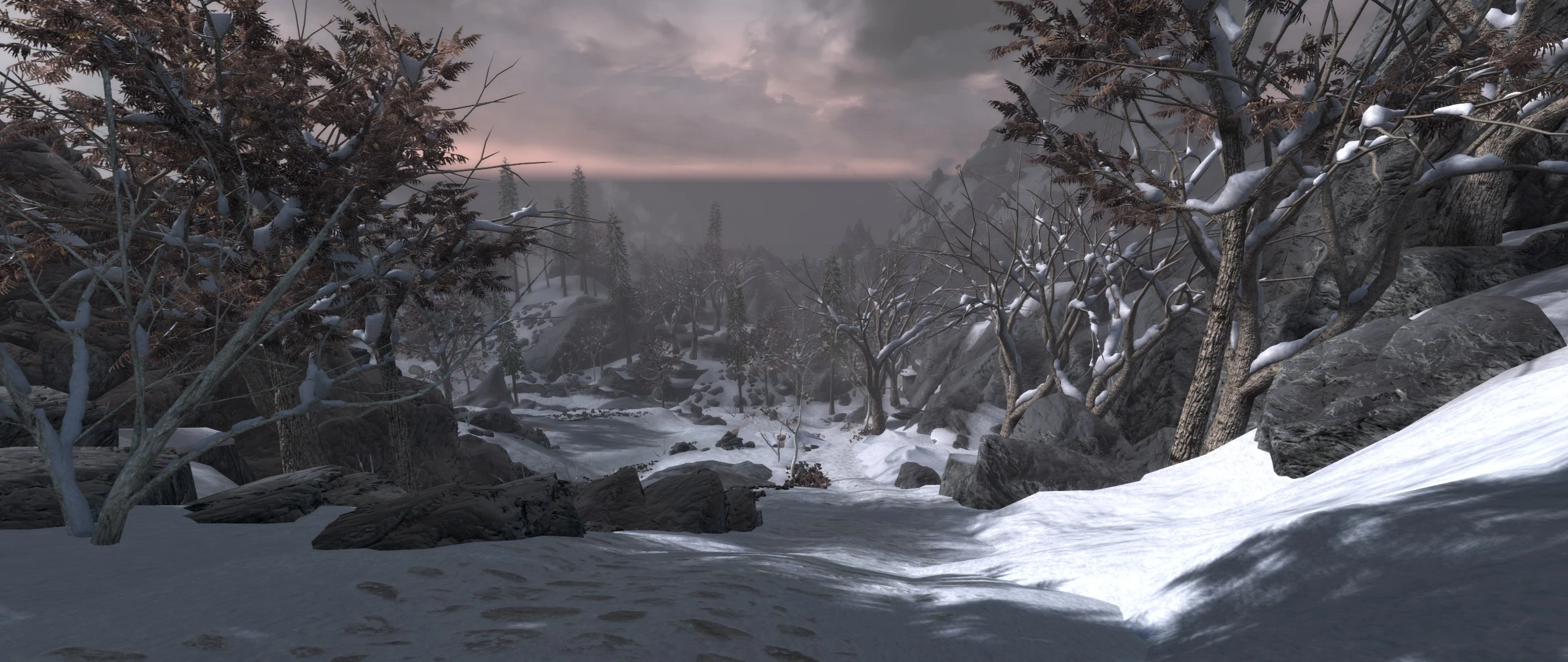 Skyrim From Cyrodiil Border At Skyrim Special Edition Nexus Mods And Community