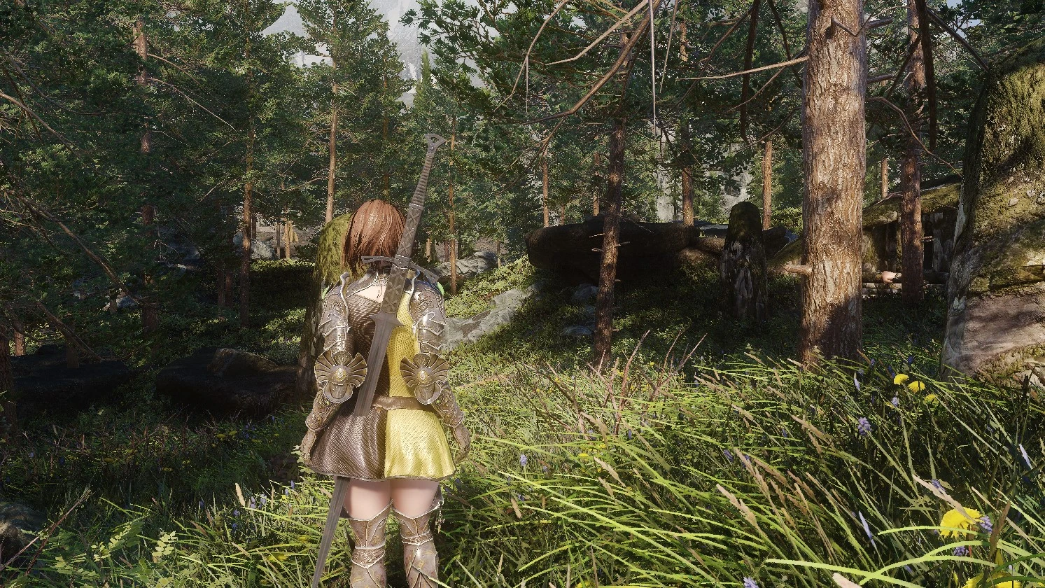 Falkreath S Forest At Skyrim Special Edition Nexus Mods And Community   26710359 1704722848 