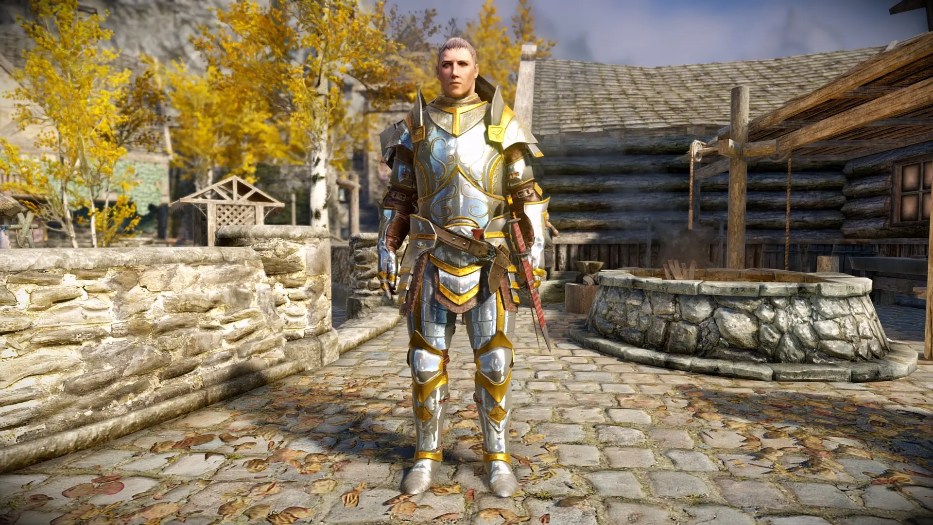 Breton Paladin at Skyrim Special Edition Nexus - Mods and Community