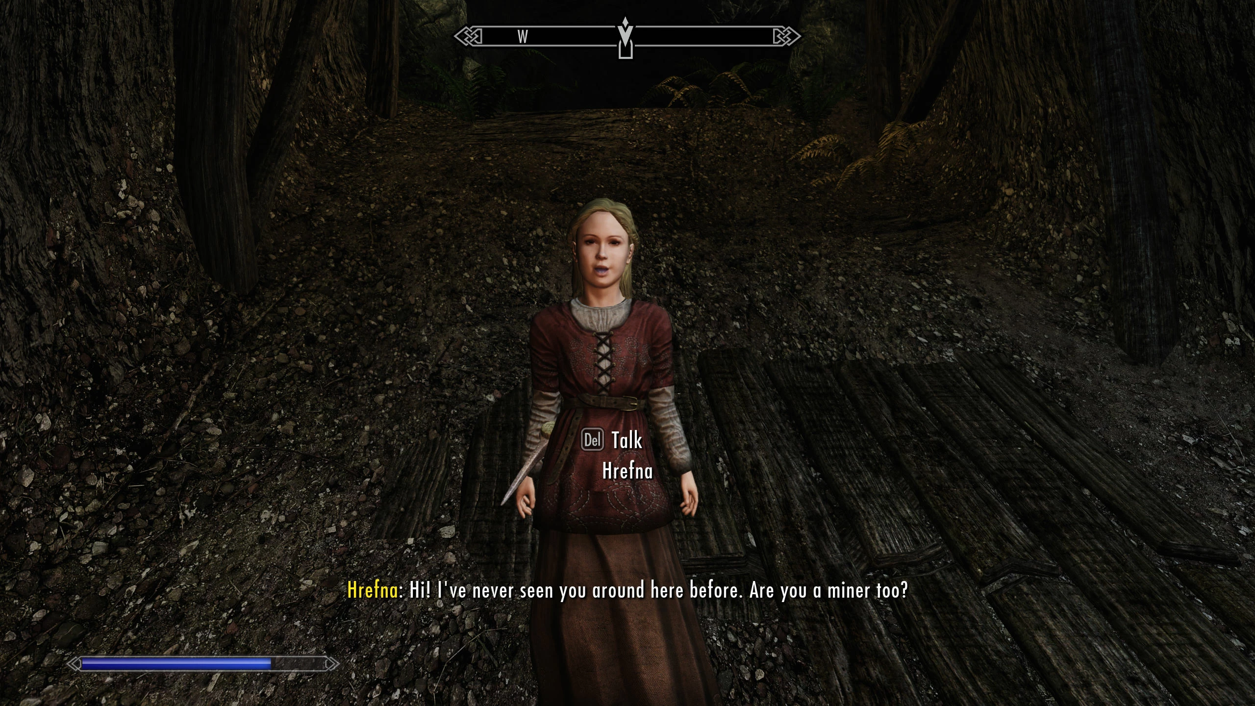 Unfortunate Implications - Skyrim style Unfortunate Implications - Skyrim style