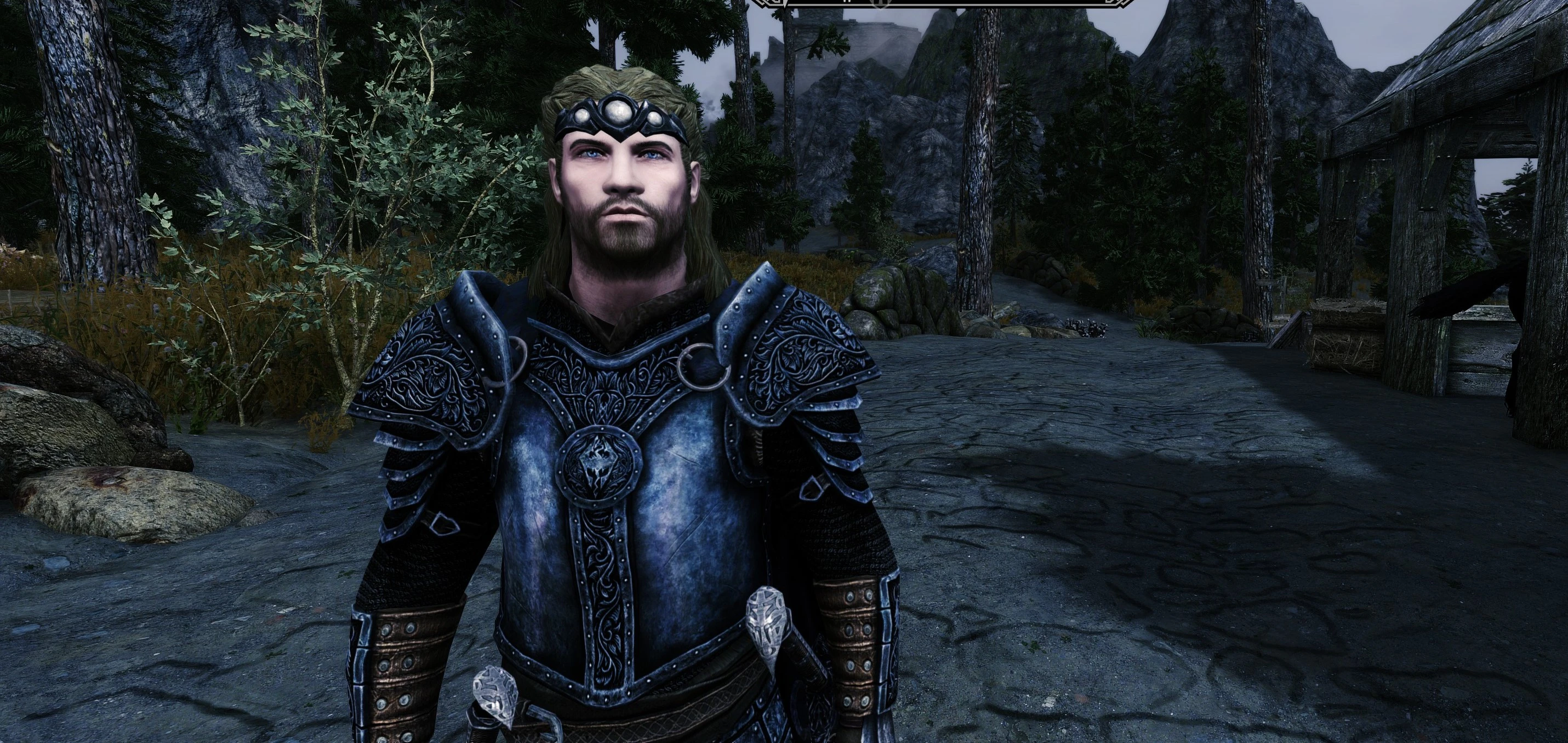 In my housecarl armor at Skyrim Special Edition Nexus - Mods and Community