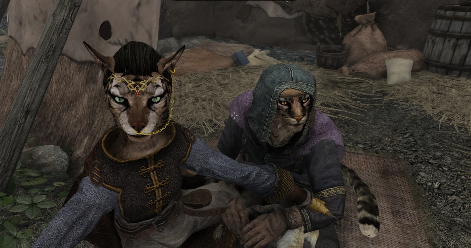 skyrim special edition khajiit marriage mod