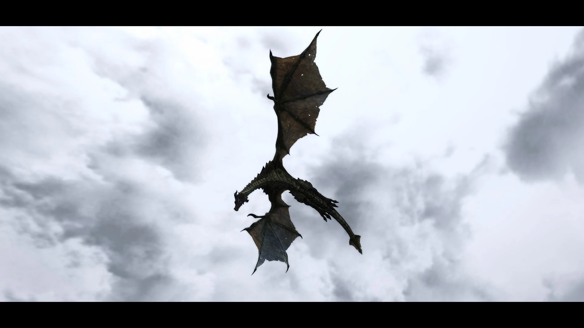 Skylighting and a wonderful dragon at Skyrim Special Edition Nexus ...