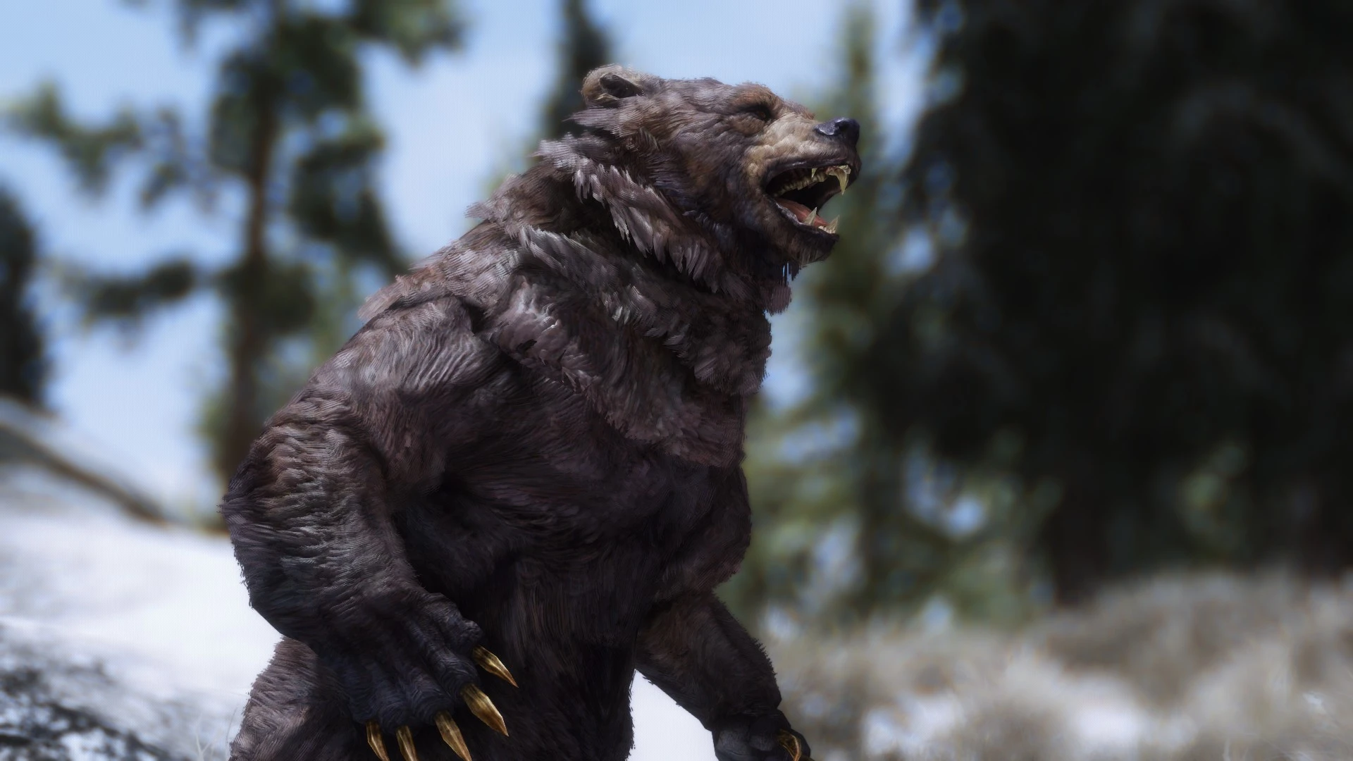 Best Bear at Skyrim Special Edition Nexus - Mods and Community