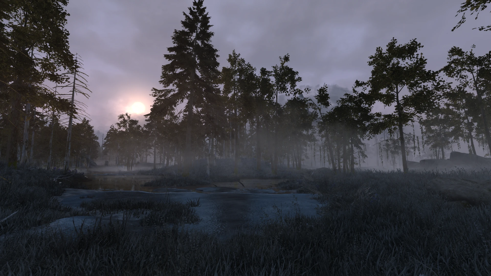 marsh at Skyrim Special Edition Nexus - Mods and Community