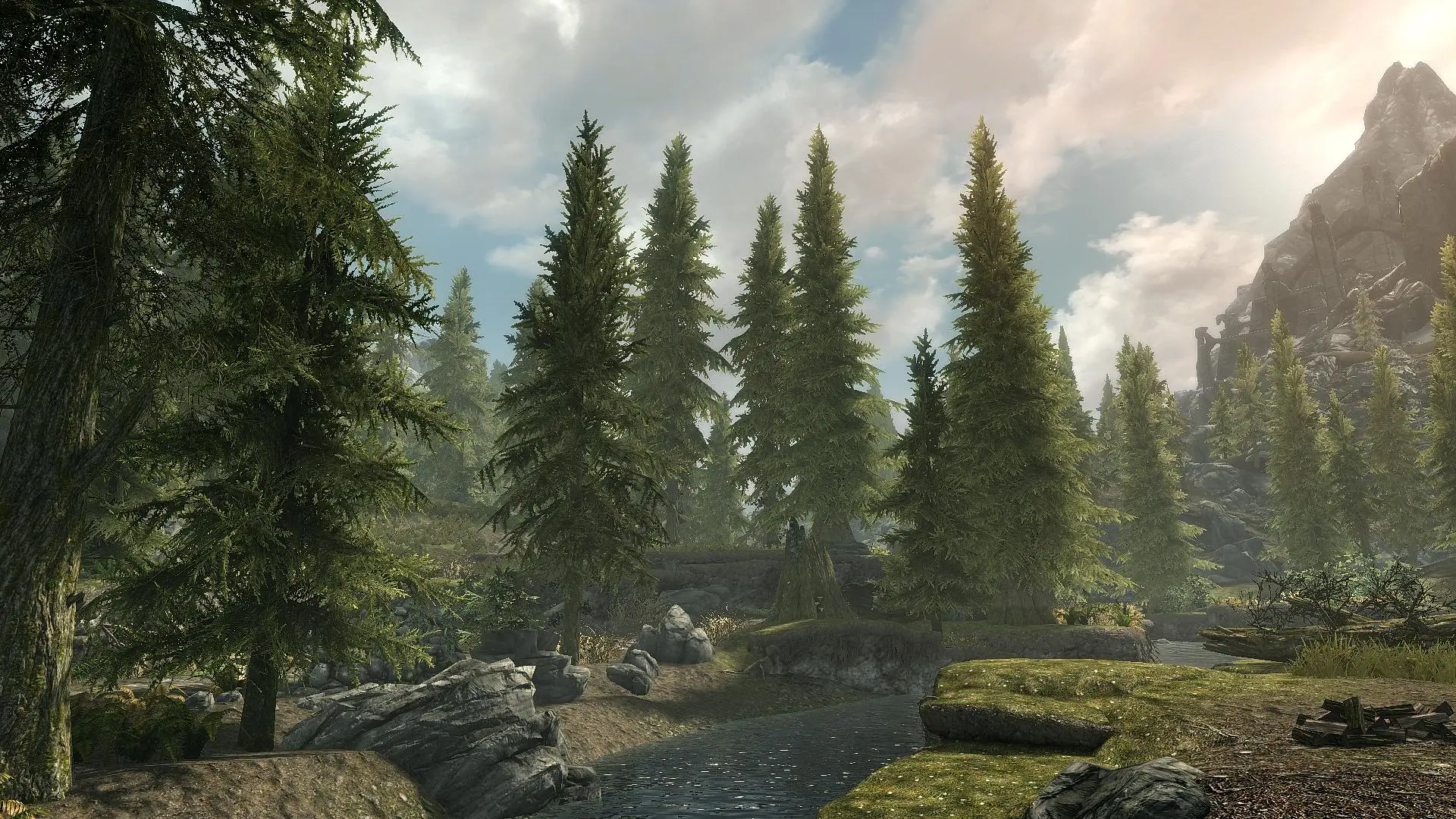 Skyrim se random. Skyrim enhanced Vanilla Trees. Skyrim se пустыня. Skyrim Special Edition золотые холмы. Skyrim высокая трава.