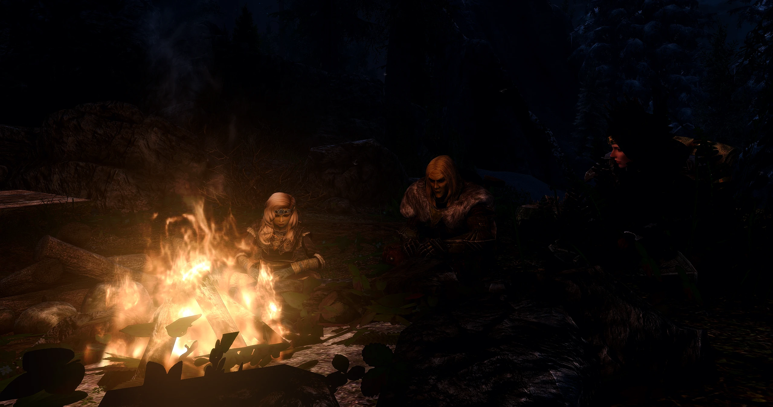 Campfire Skyrim Special Edition