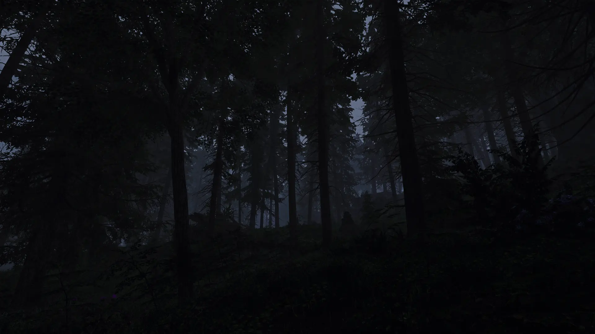 Dark Forest at Skyrim Special Edition Nexus - Mods and Community