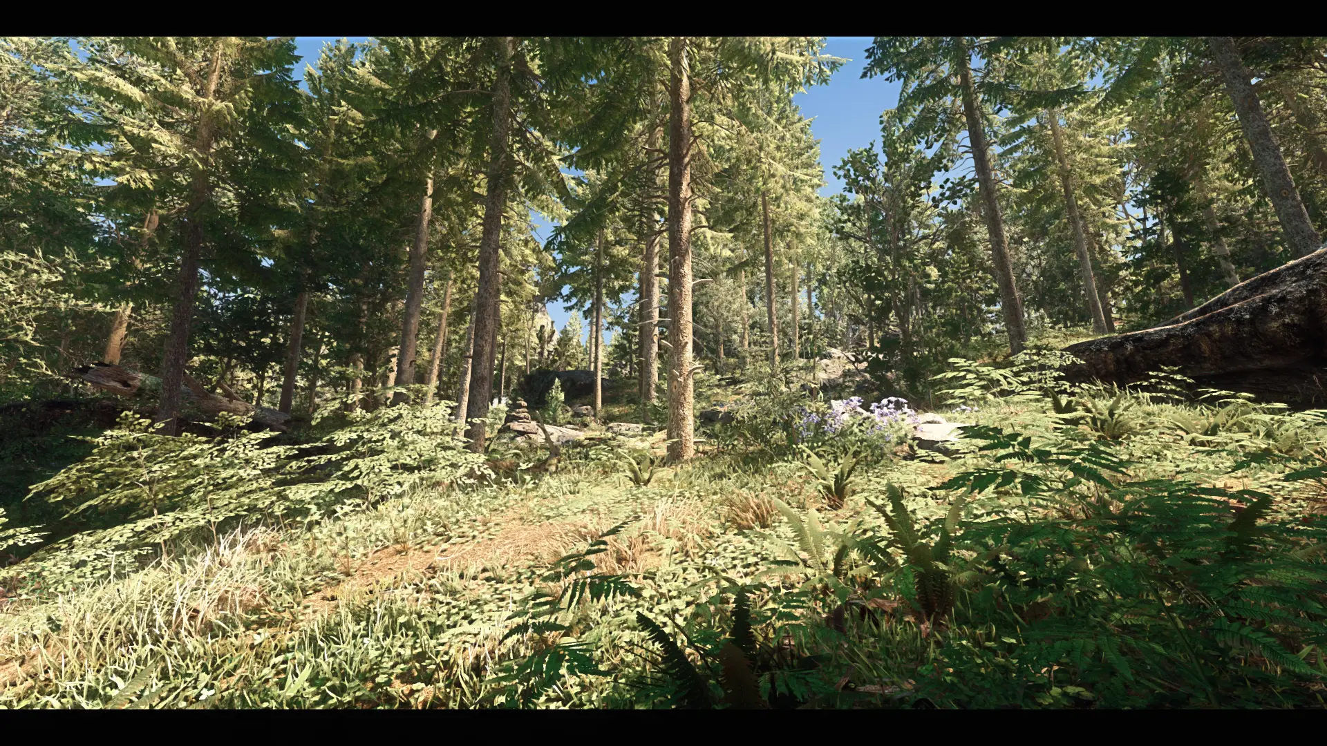 Sunny Falkreath Forest at Skyrim Special Edition Nexus - Mods and Community