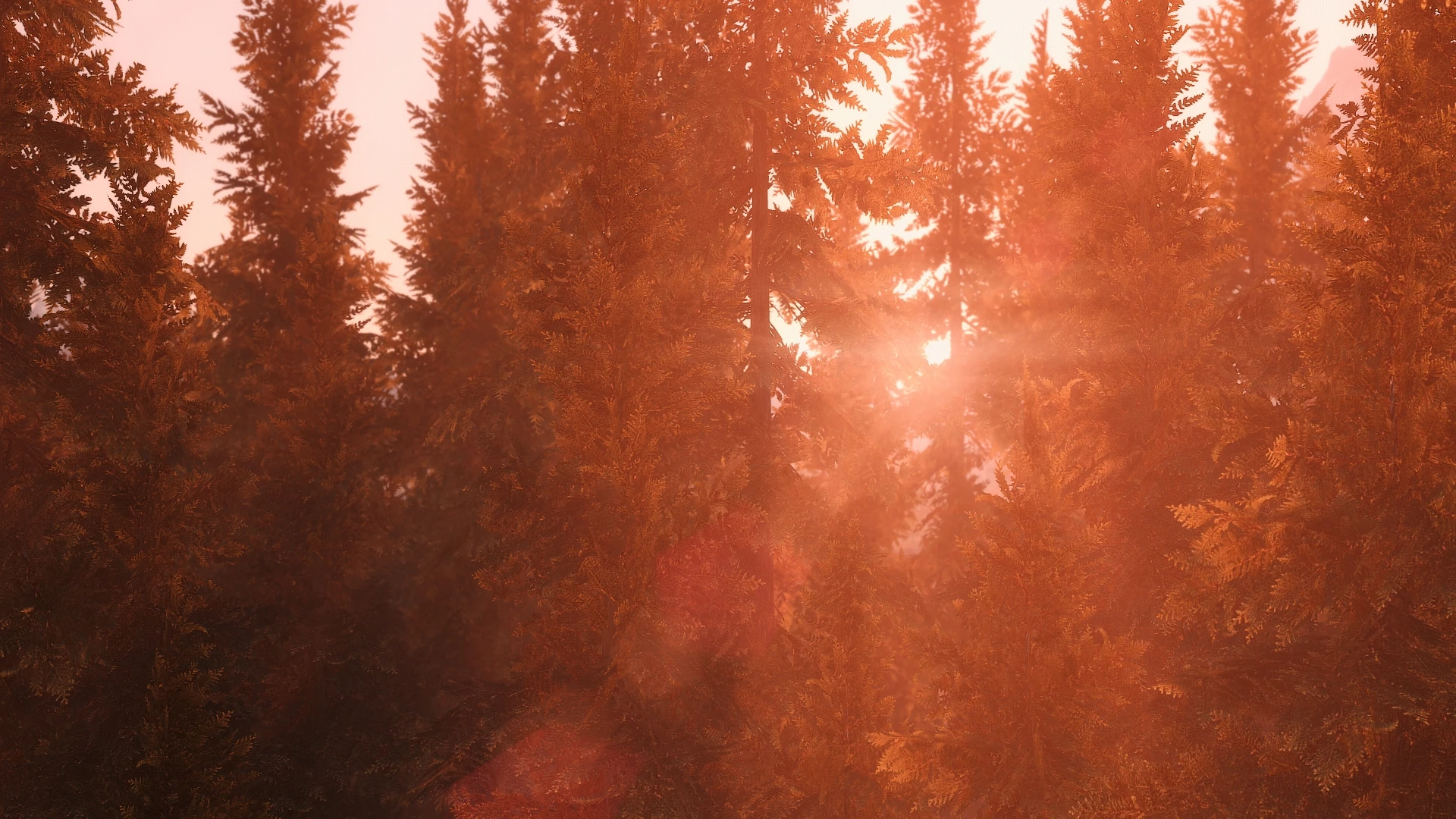 Blazing Sunrise ELFX Complete With Bigger Trees at Skyrim Special ...