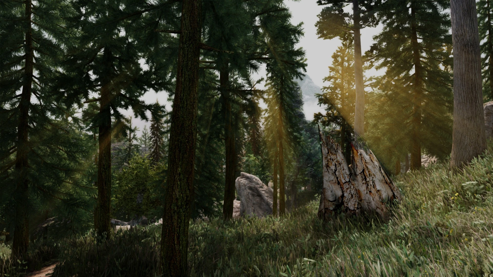 seasons of skyrim enb