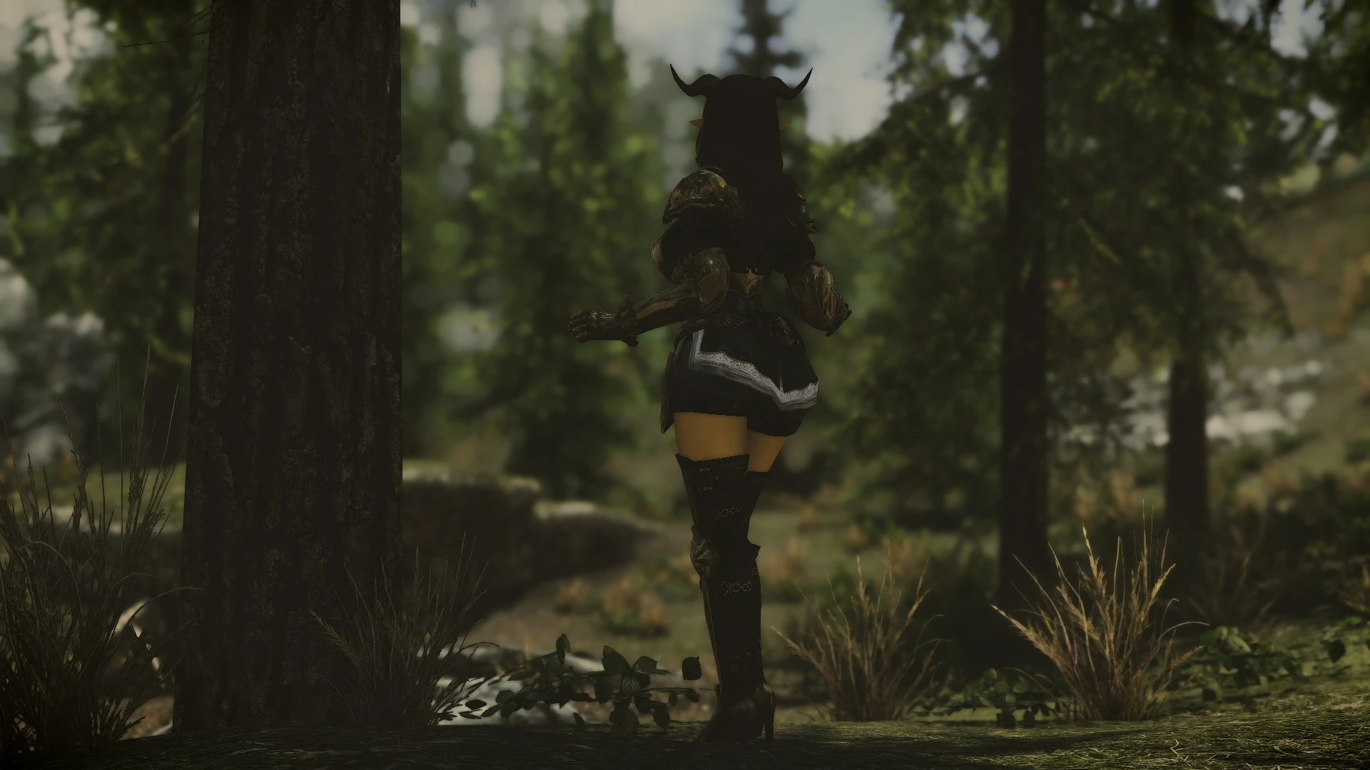 The Vastness Of The Forest At Skyrim Special Edition Nexus Mods And Community