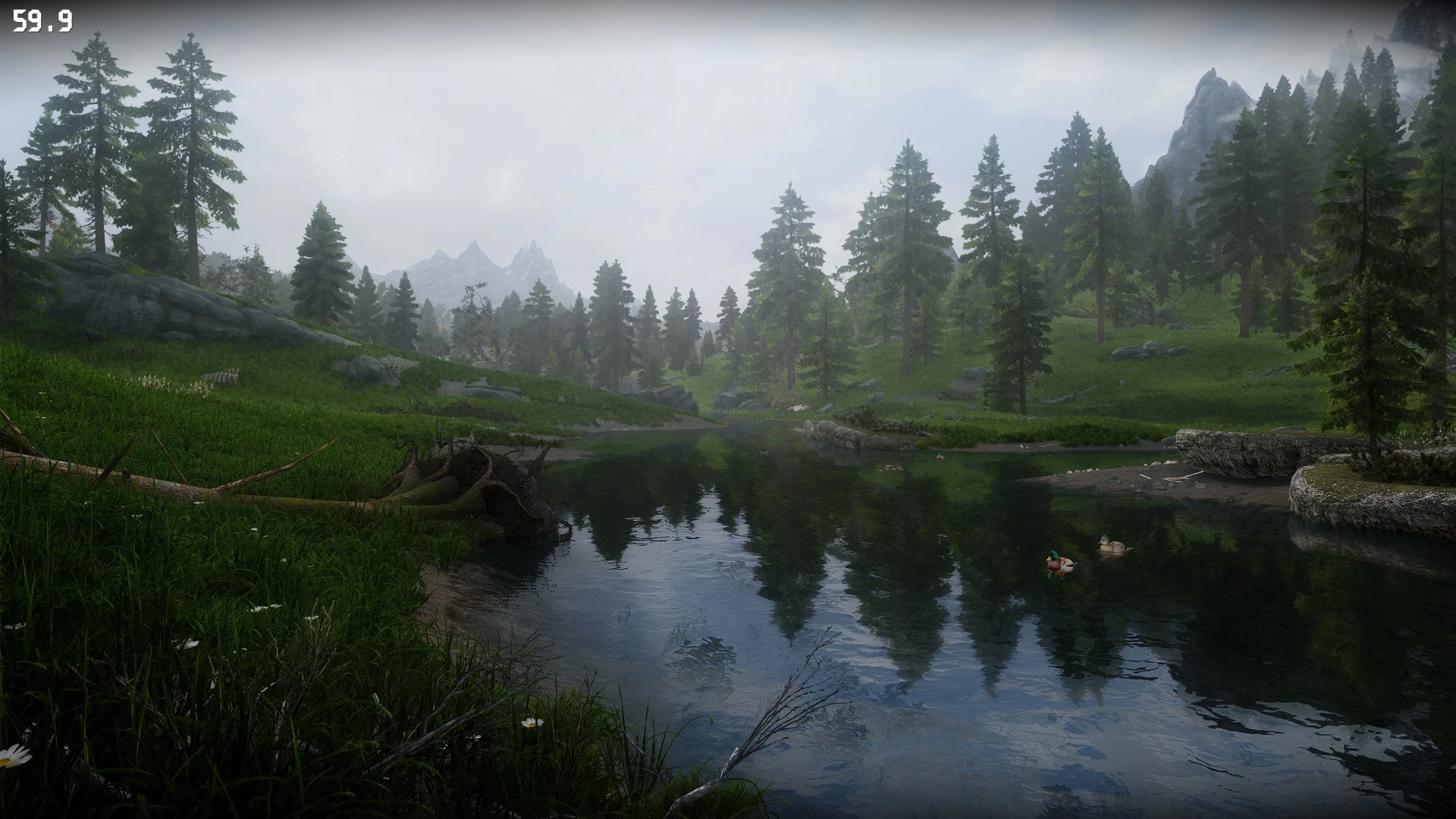 Grass At Skyrim Special Edition Nexus Mods And Community 7917