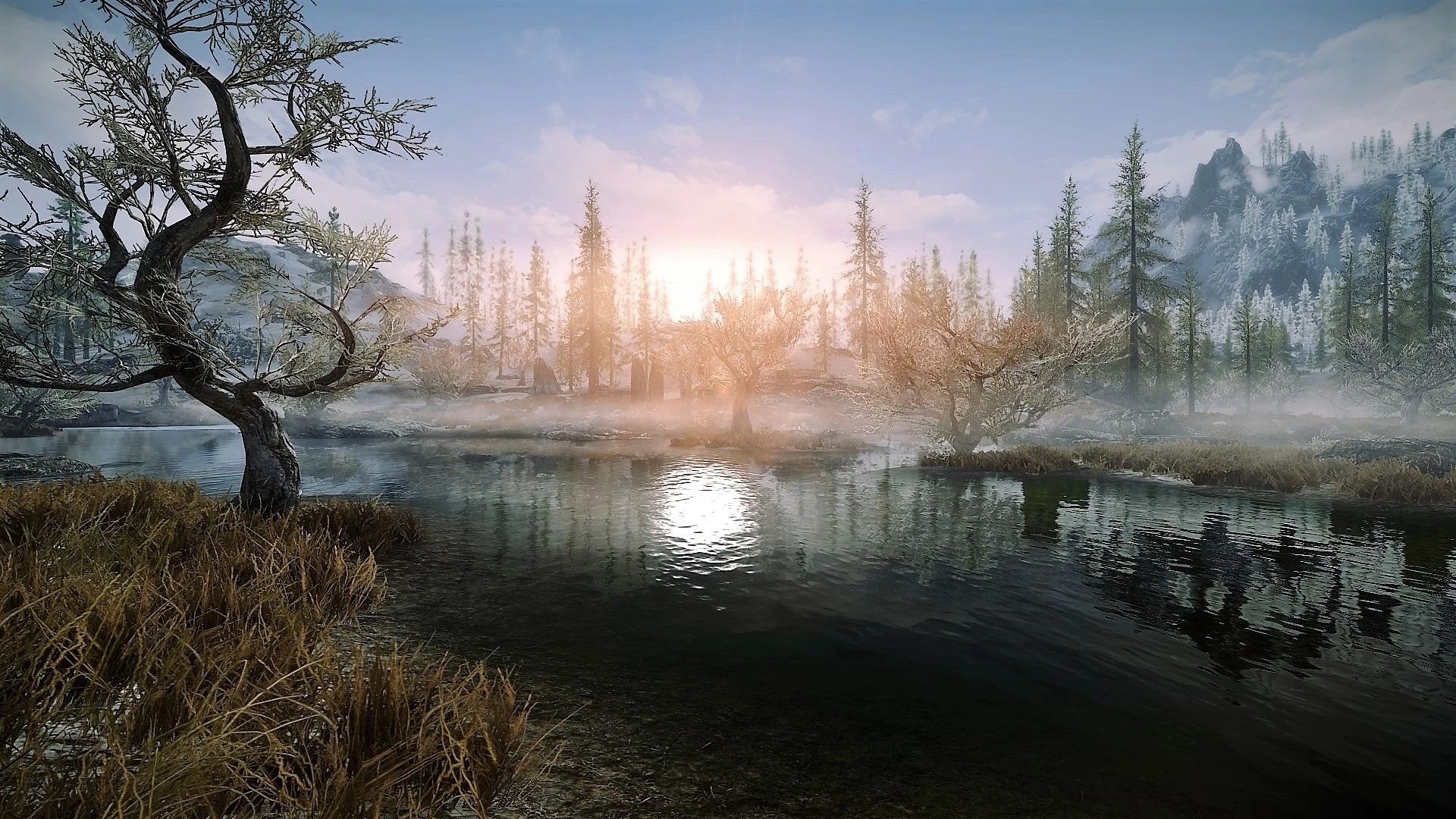 SSE at Skyrim Special Edition Nexus - Mods and Community