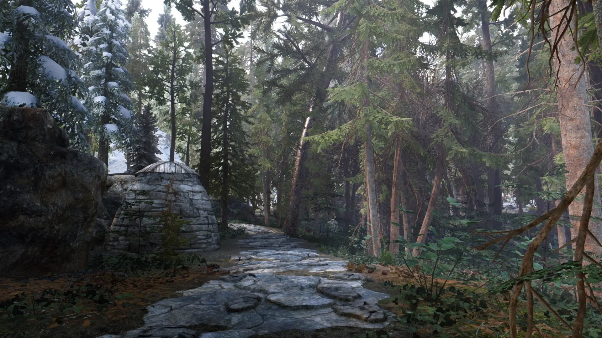 Old Woods of Skyrim at Skyrim Special Edition Nexus - Mods and Community