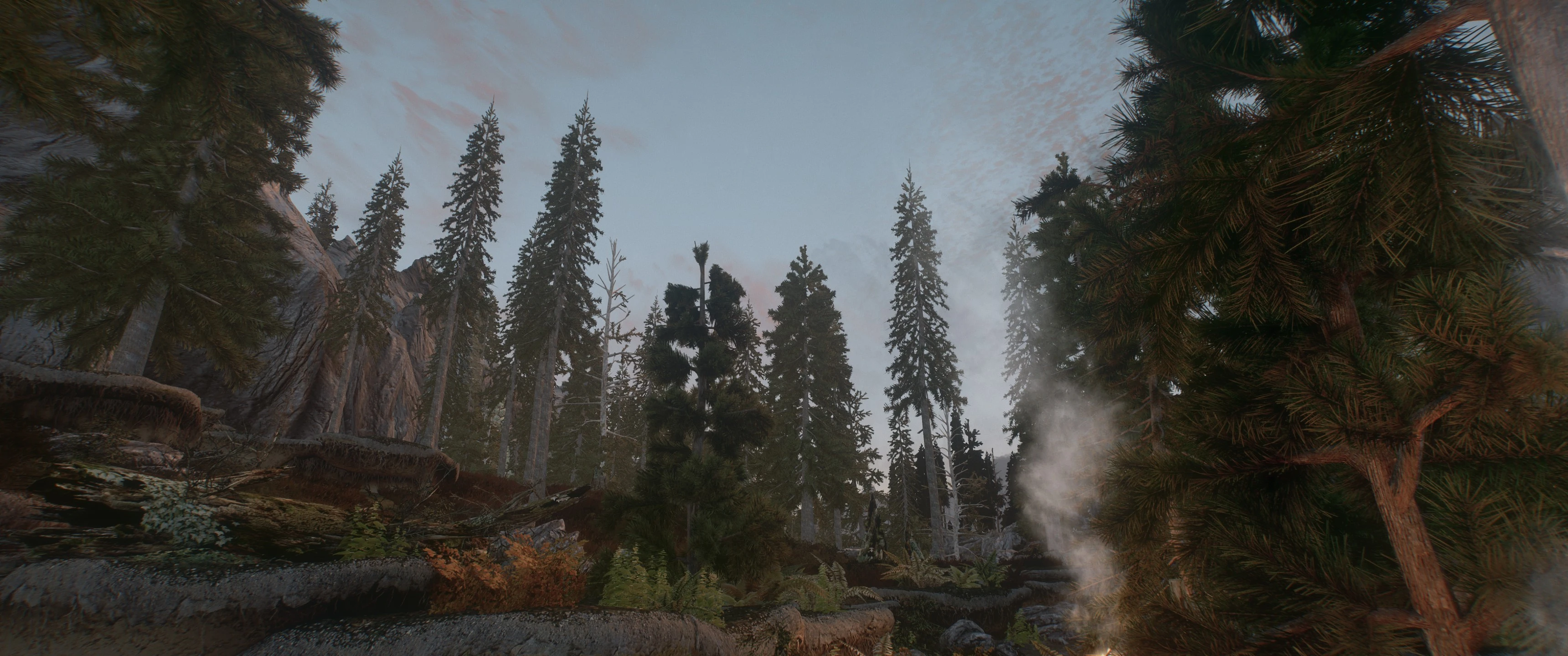 Testing out NAT ENB at Skyrim Special Edition Nexus - Mods and Community