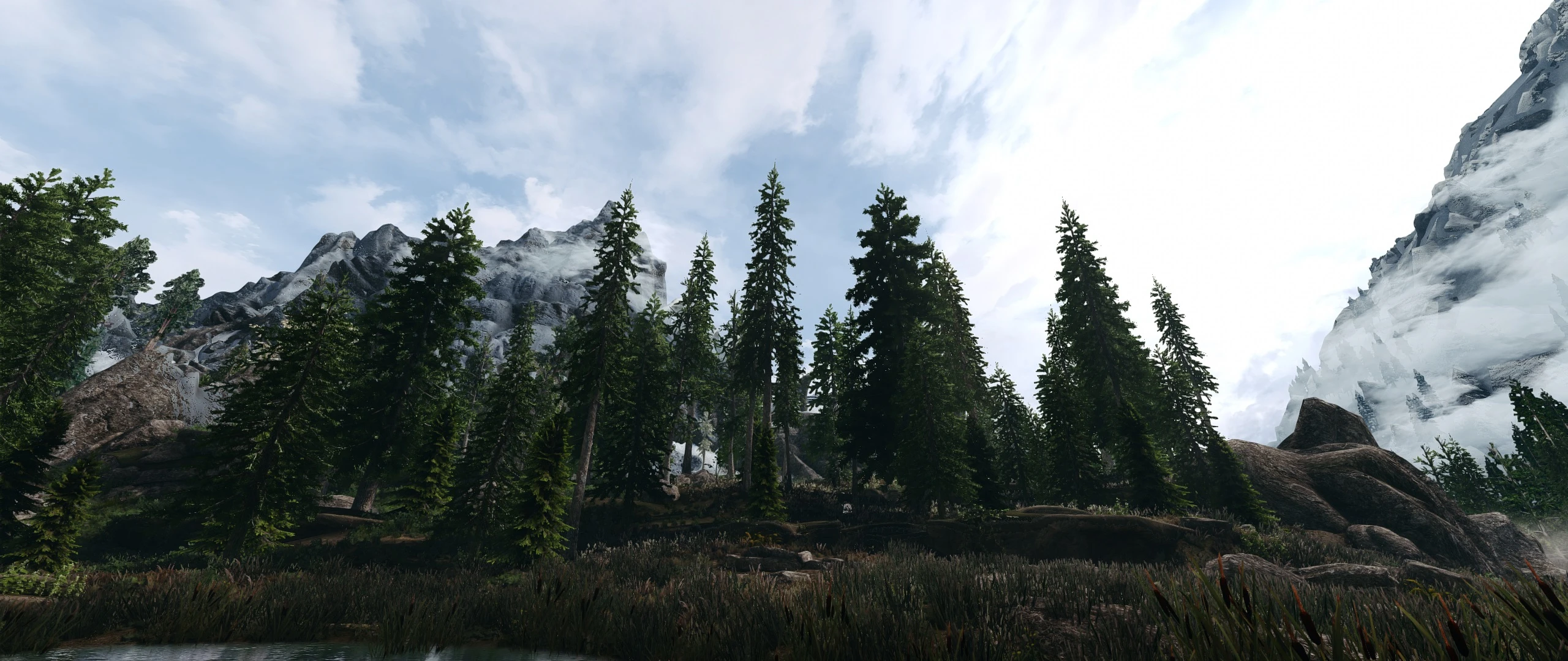 Sunny Trees at Skyrim Special Edition Nexus - Mods and Community