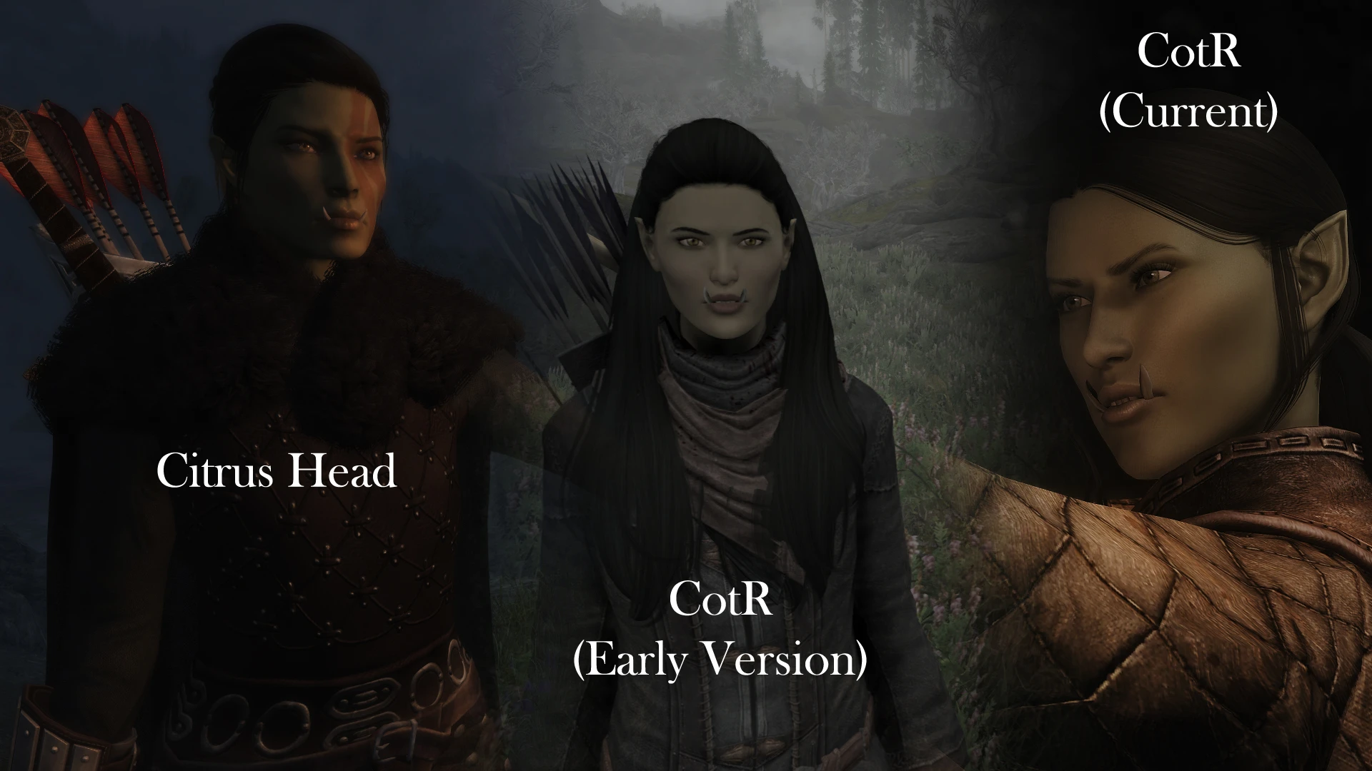 Character Design - Then and Now at Skyrim Special Edition Nexus - Mods ...