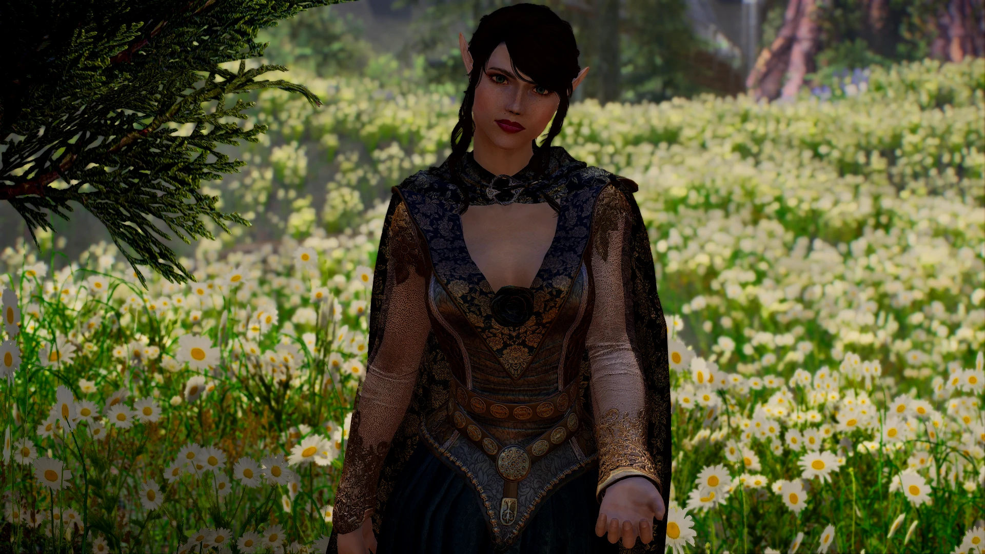 Aanje and Daisies at Skyrim Special Edition Nexus - Mods and Community
