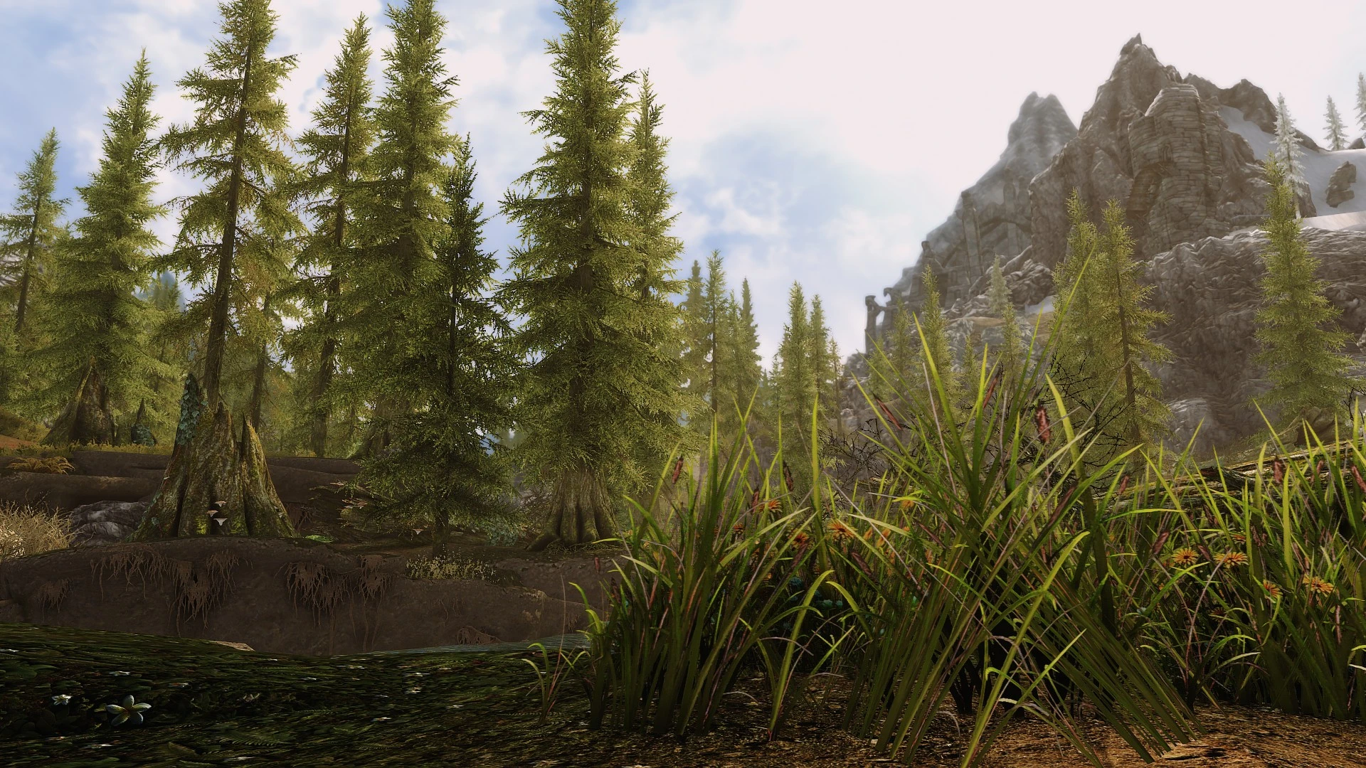 Skyrim какой enb подходит для elfx weather