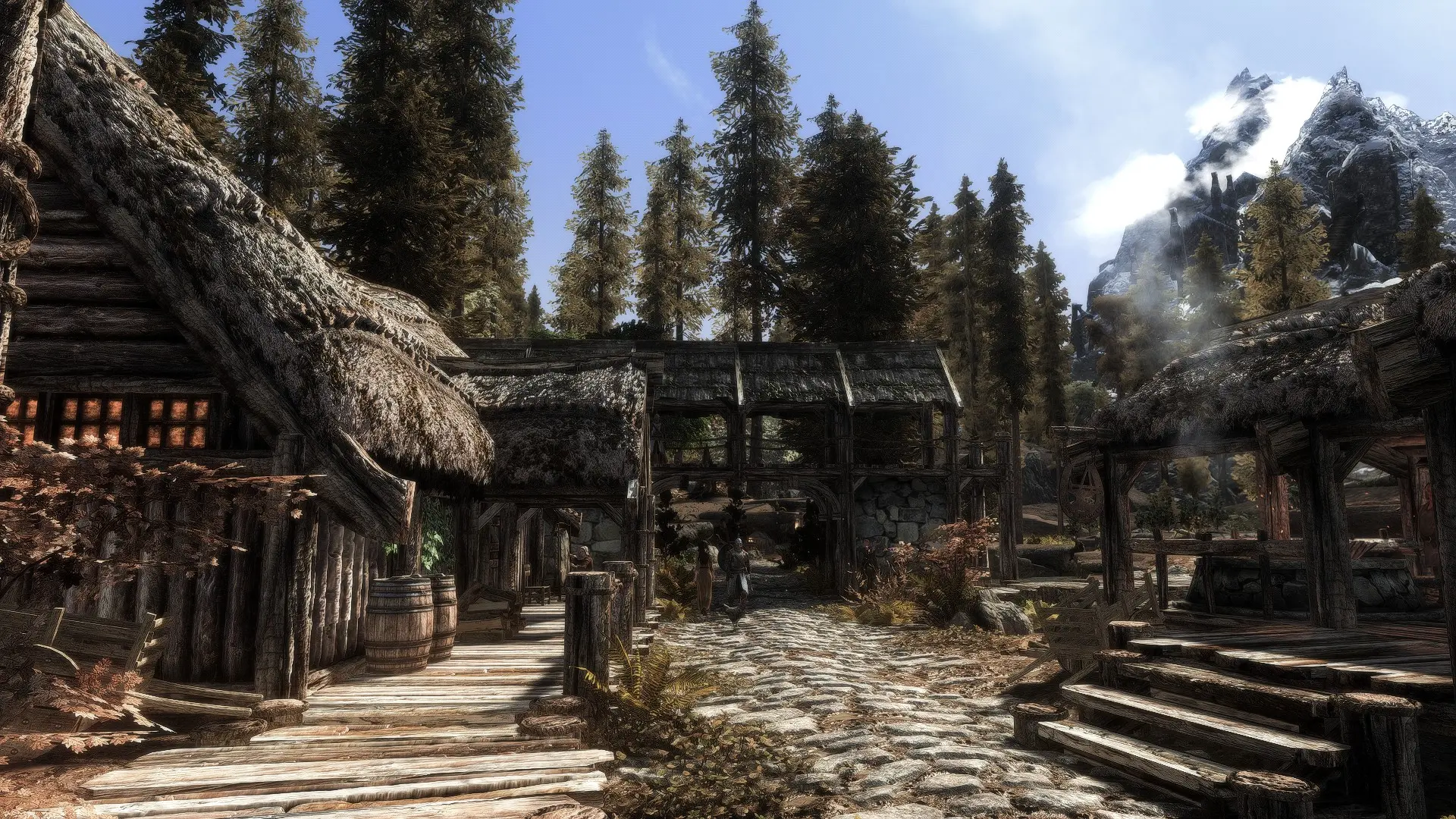 Getting Nolvus To Run At Skyrim Special Edition Nexus - Mods And Community