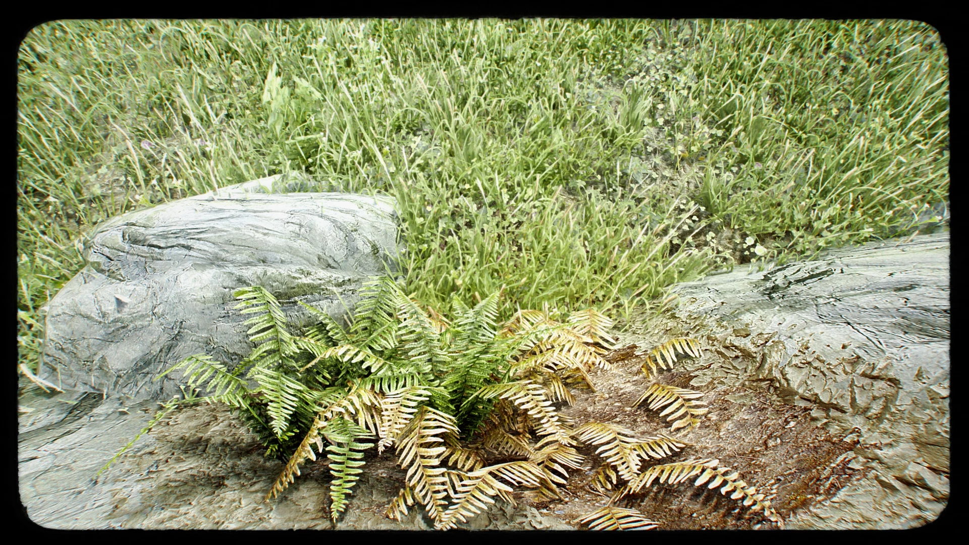 skyrim special edition grass skyrim special edition grass