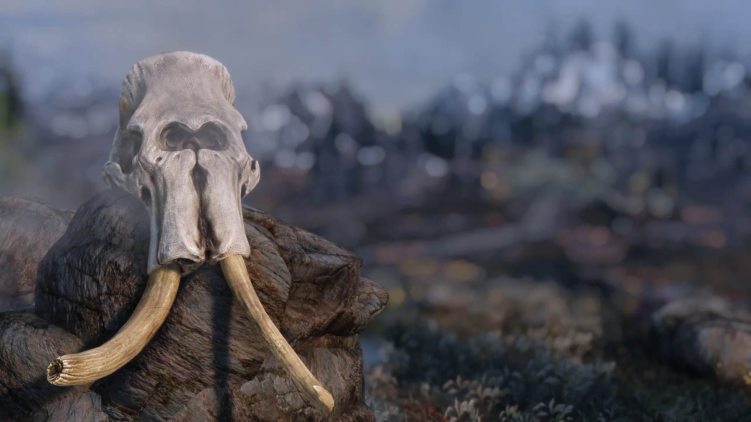 Mammoth Skull at Skyrim Special Edition Nexus - Mods and Community