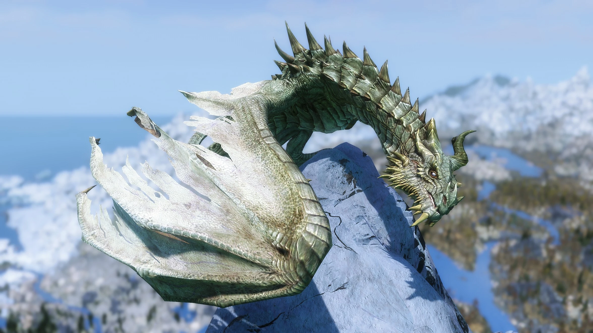 I think Paarthurnax is kinda cute for a dragon