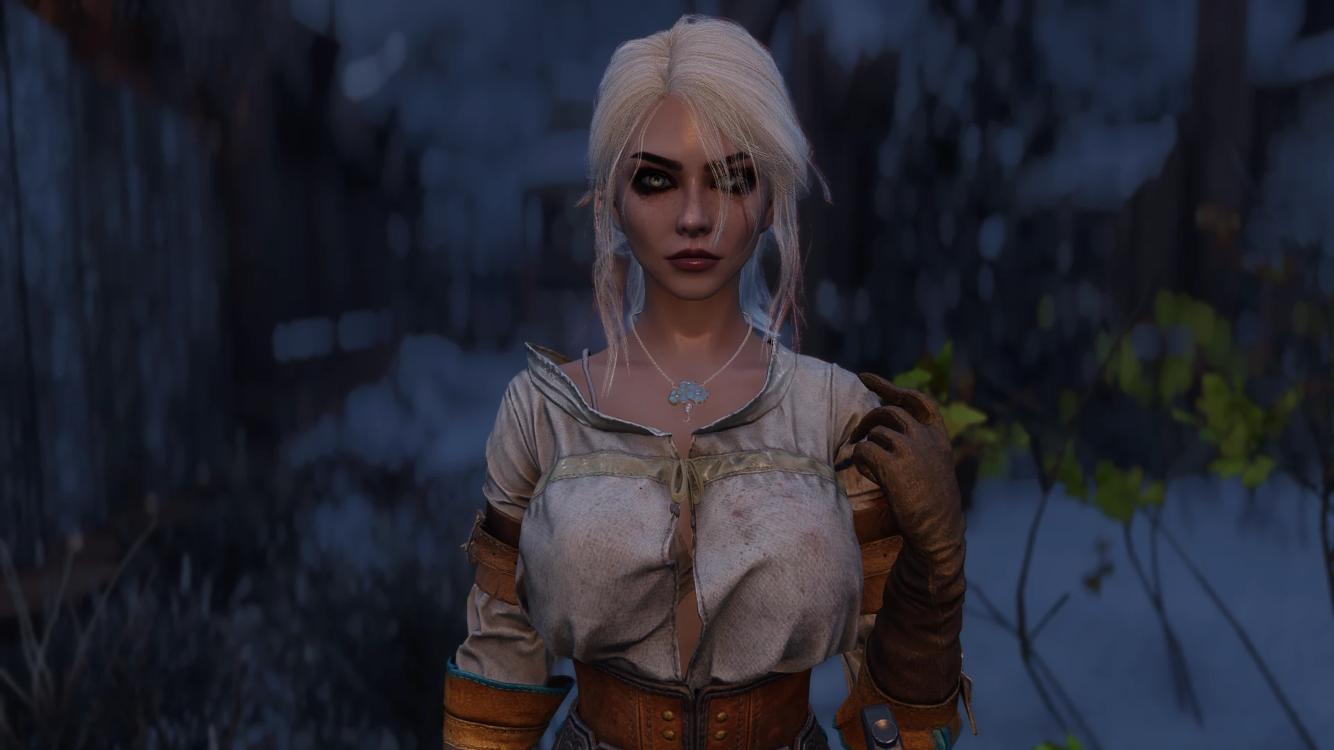 Ciri Test at Skyrim Special Edition Nexus - Mods and Community