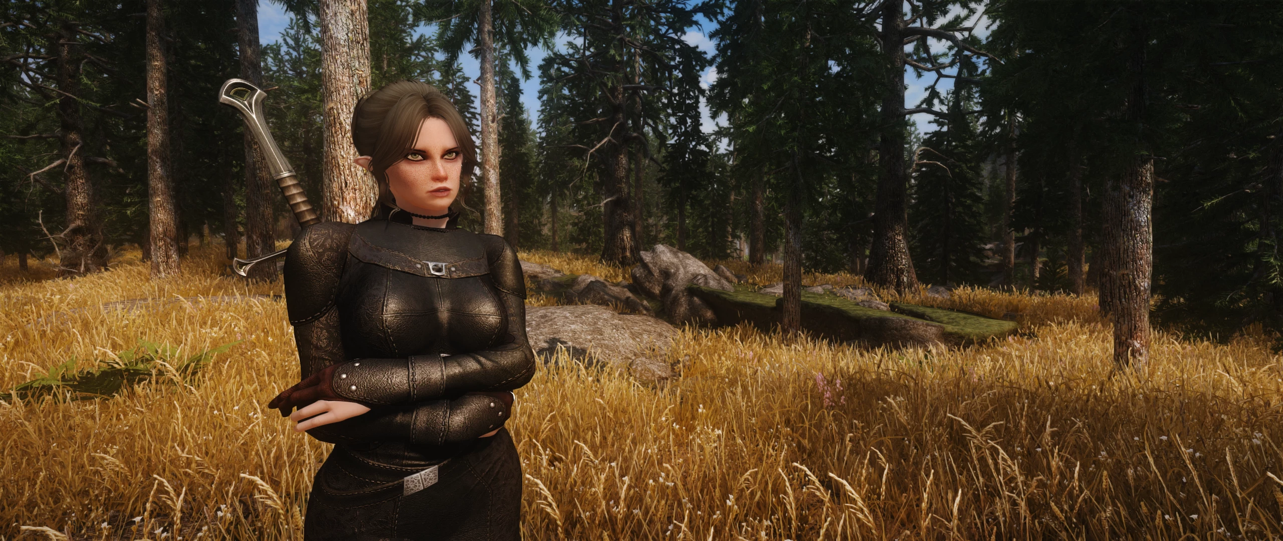 modded skyrim special edition modded skyrim special edition