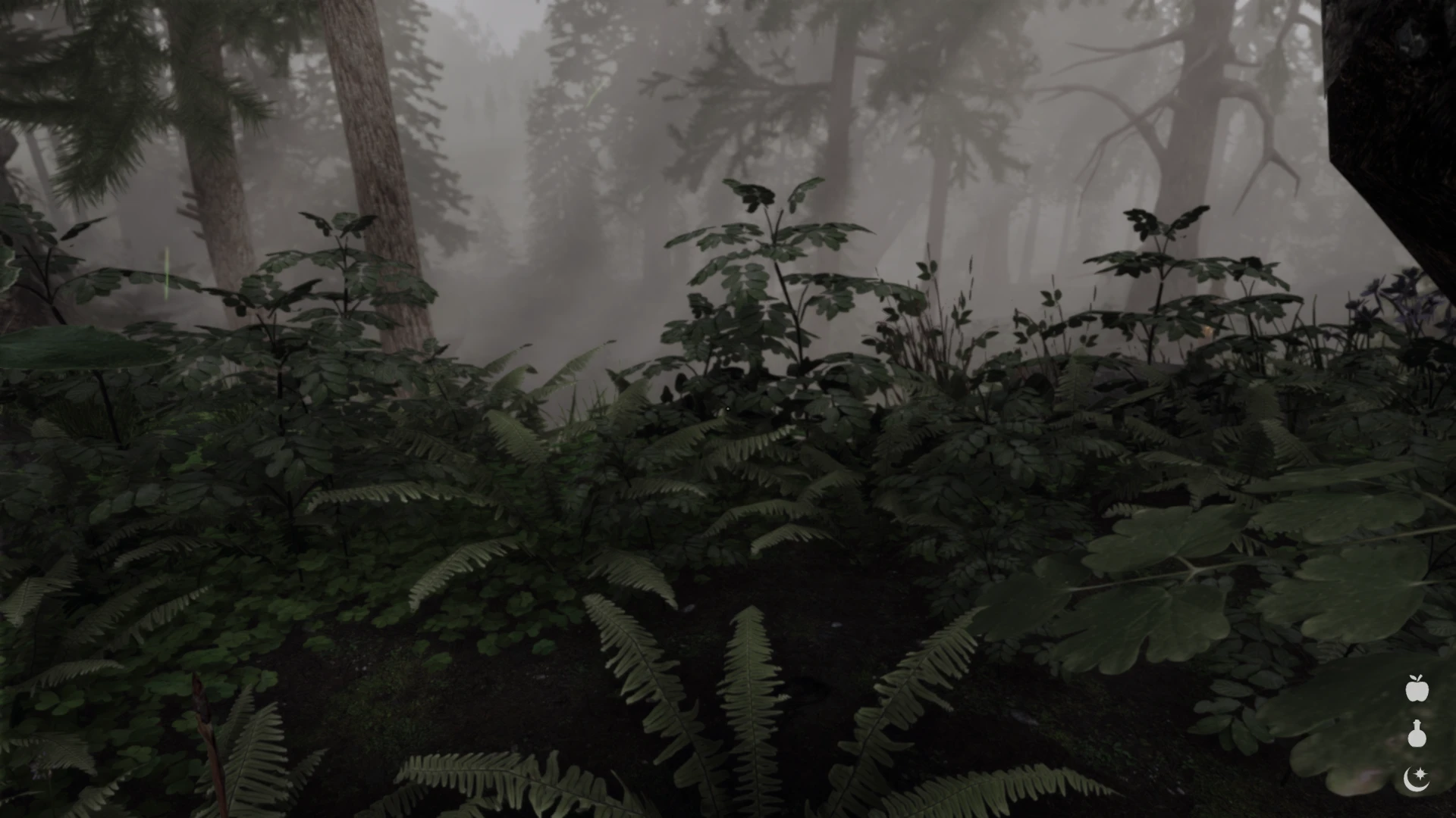 foggy forest at Skyrim Special Edition Nexus - Mods and Community