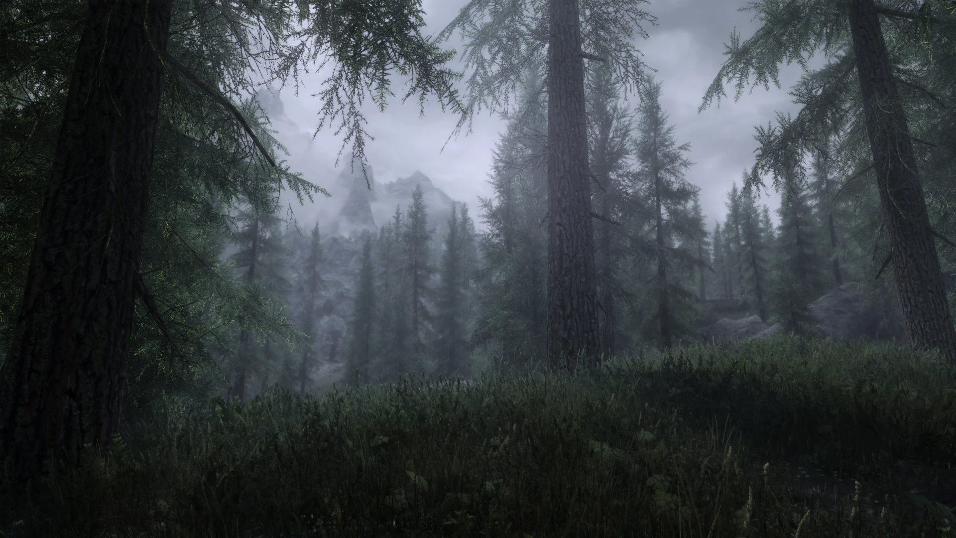 Overcast day at Skyrim Special Edition Nexus - Mods and Community