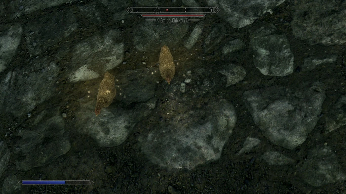 Crazy Chickens Crazy Chickens