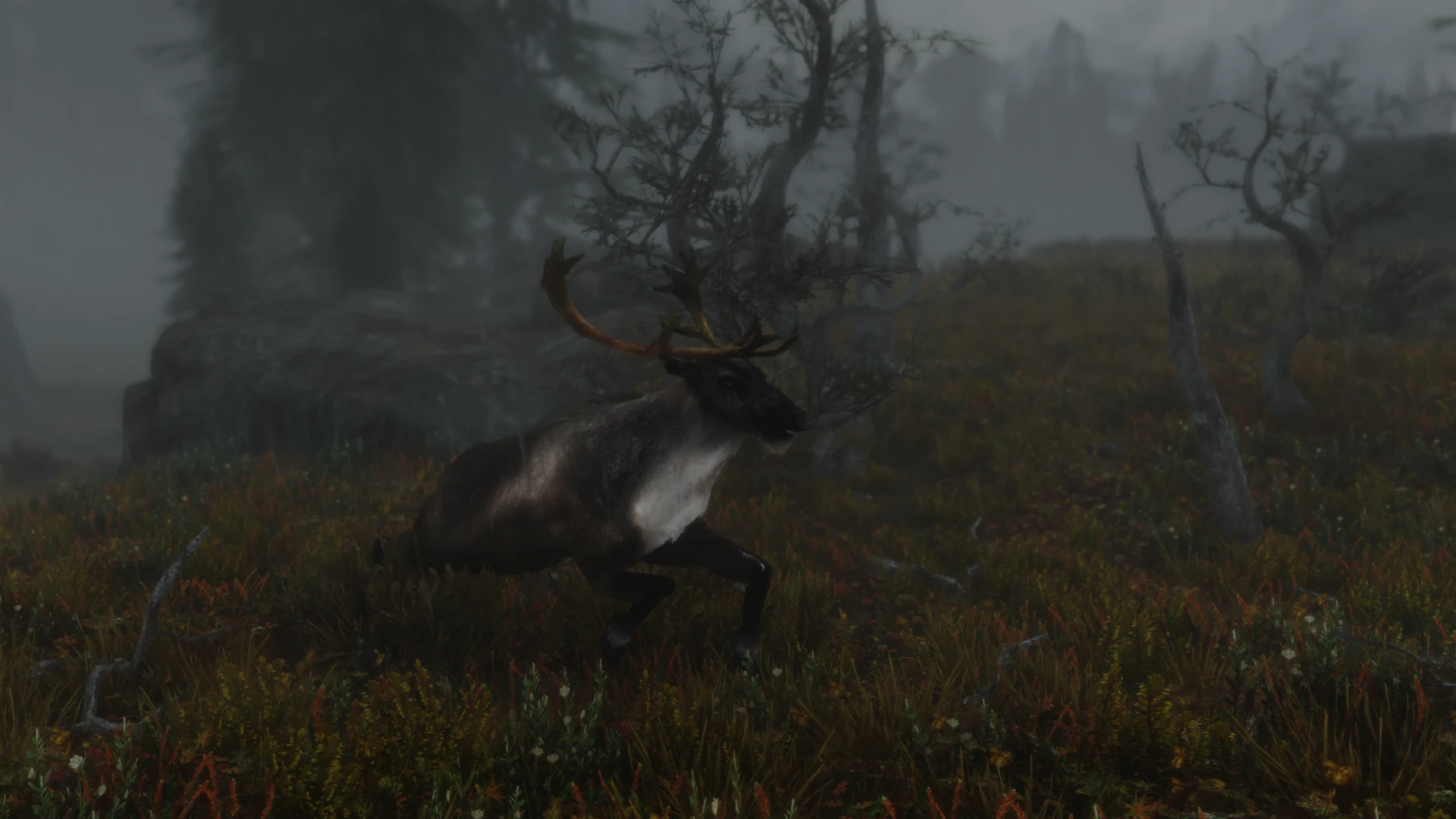 Elk at Skyrim Special Edition Nexus - Mods and Community