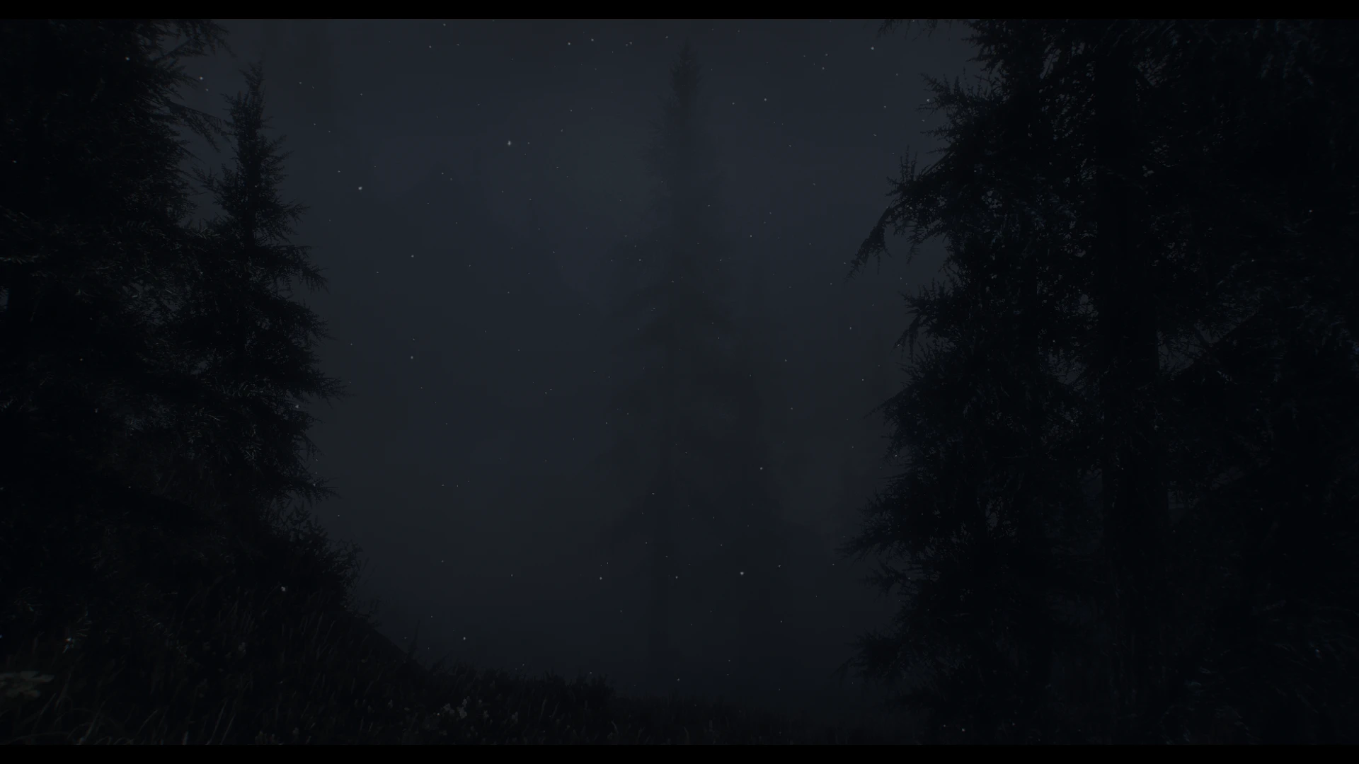 Редеет мгла ненастной ночи. Dark Forest пигмент. Туман Редел и становилось темнее. Dark Forest Black Metal. Dark Forest значок.