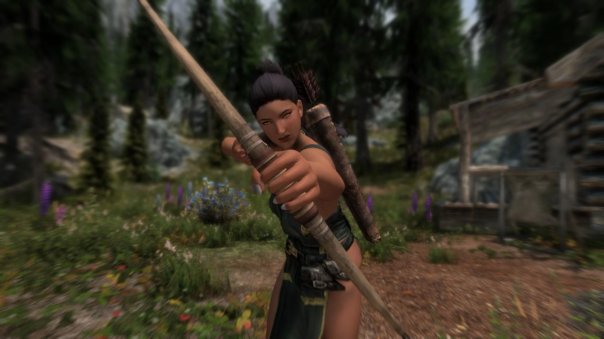 skyrim archery overhaul special edition