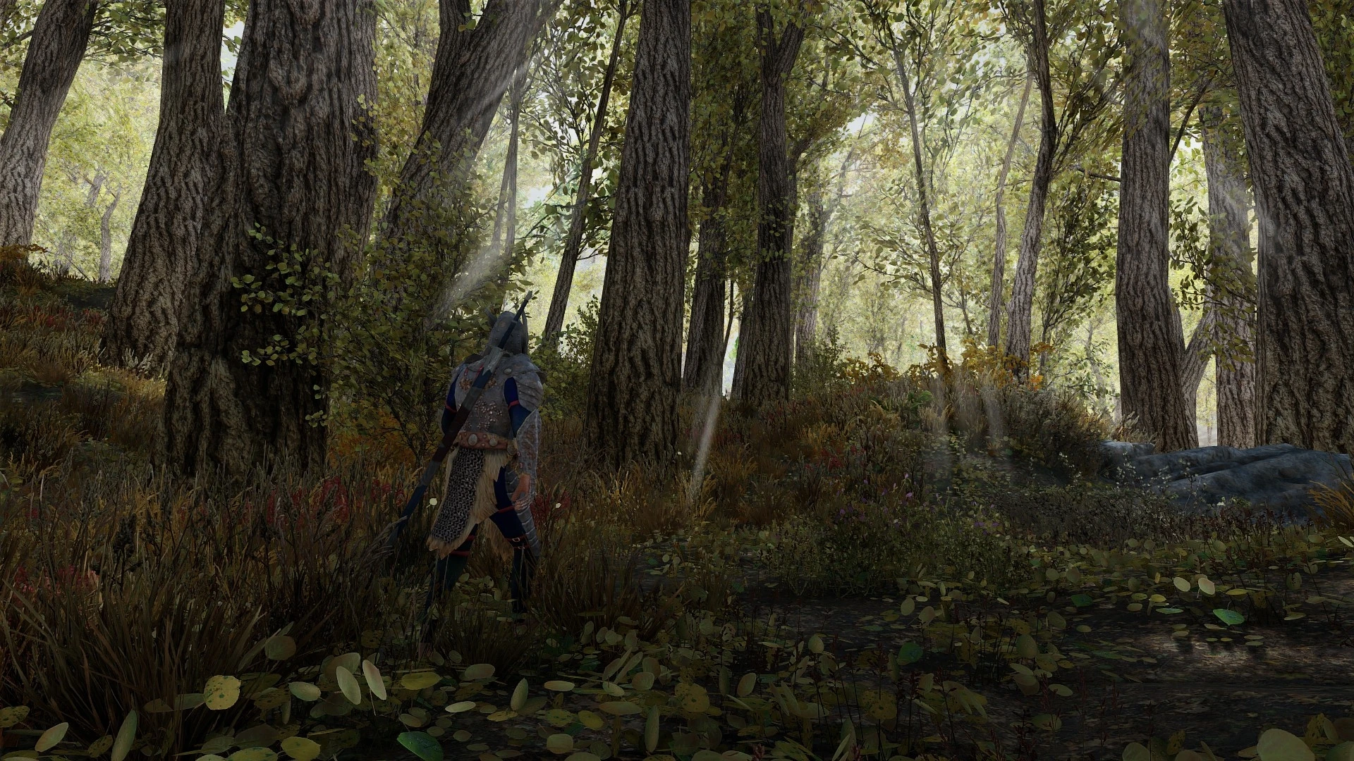 Medieval Forest at Skyrim Special Edition Nexus - Mods and Community