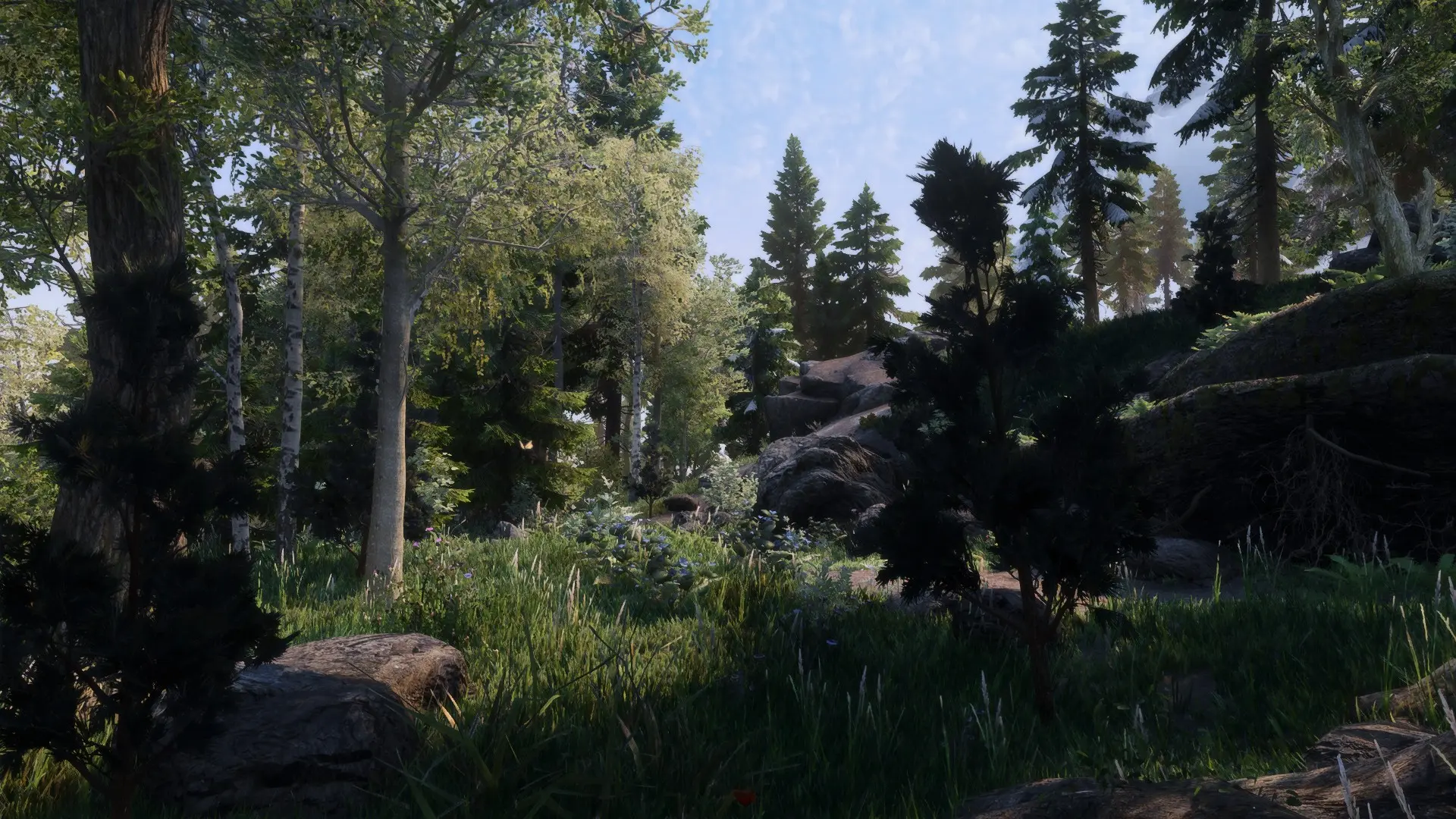 Nature of the Wild Lands and Happy Little Trees at Skyrim Special ...