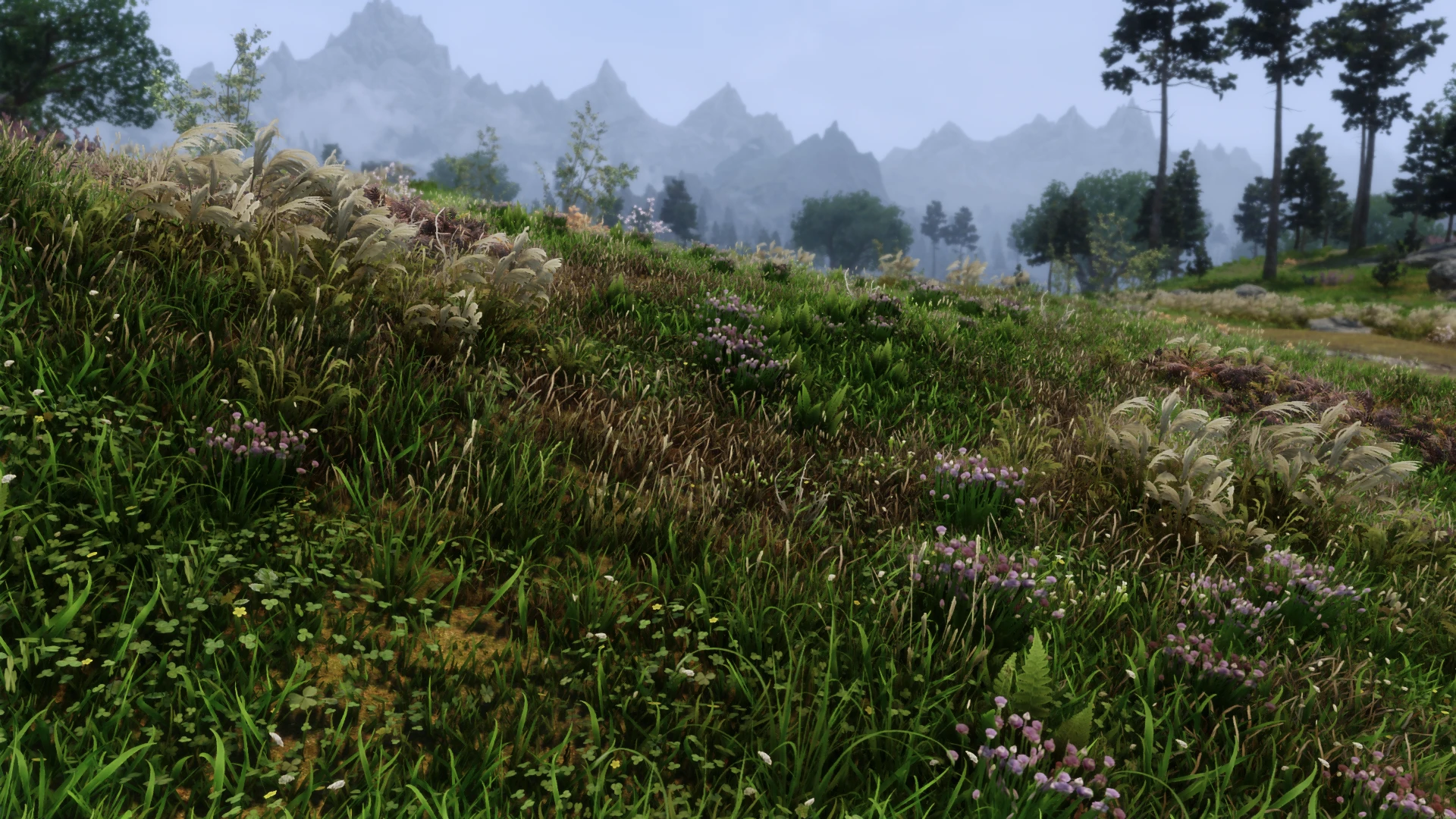 skyrim special edition grass mod