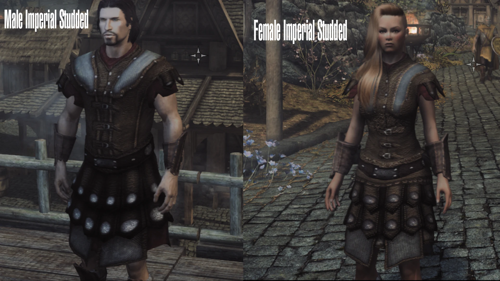 2K Imperial Light Armor at Skyrim Special Edition Nexus - Mods and Community